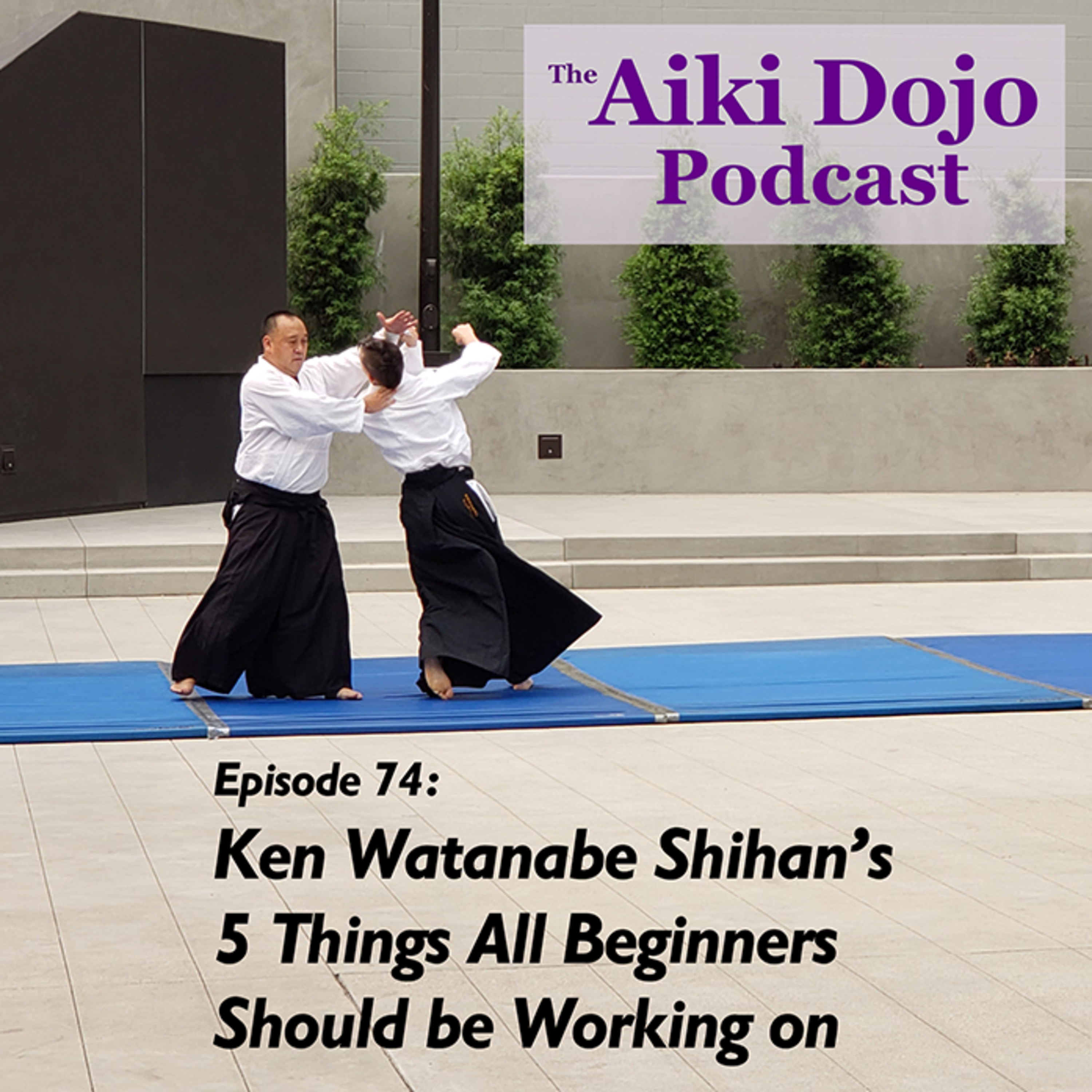 The Aiki Dojo Podcast
