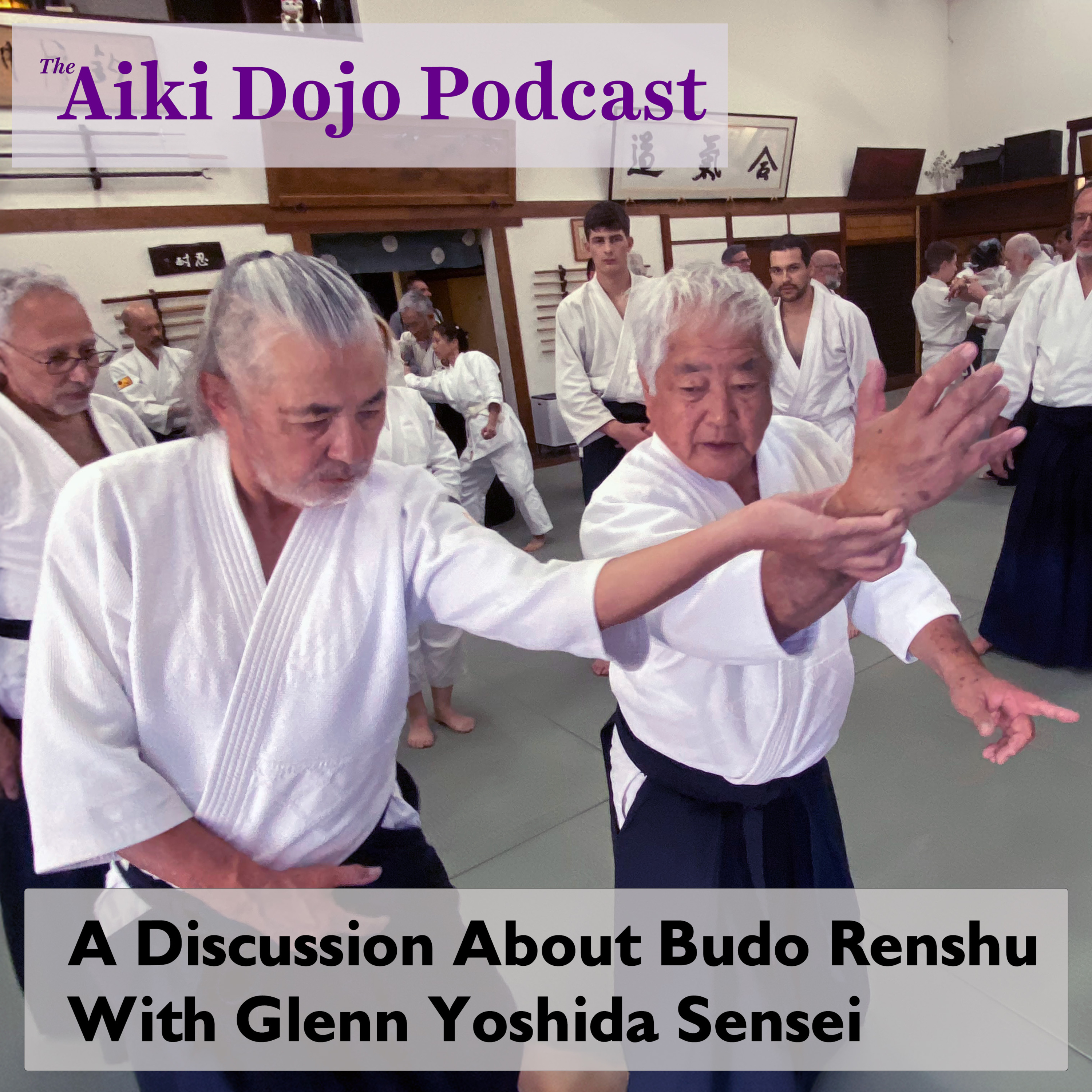The Aiki Dojo Podcast