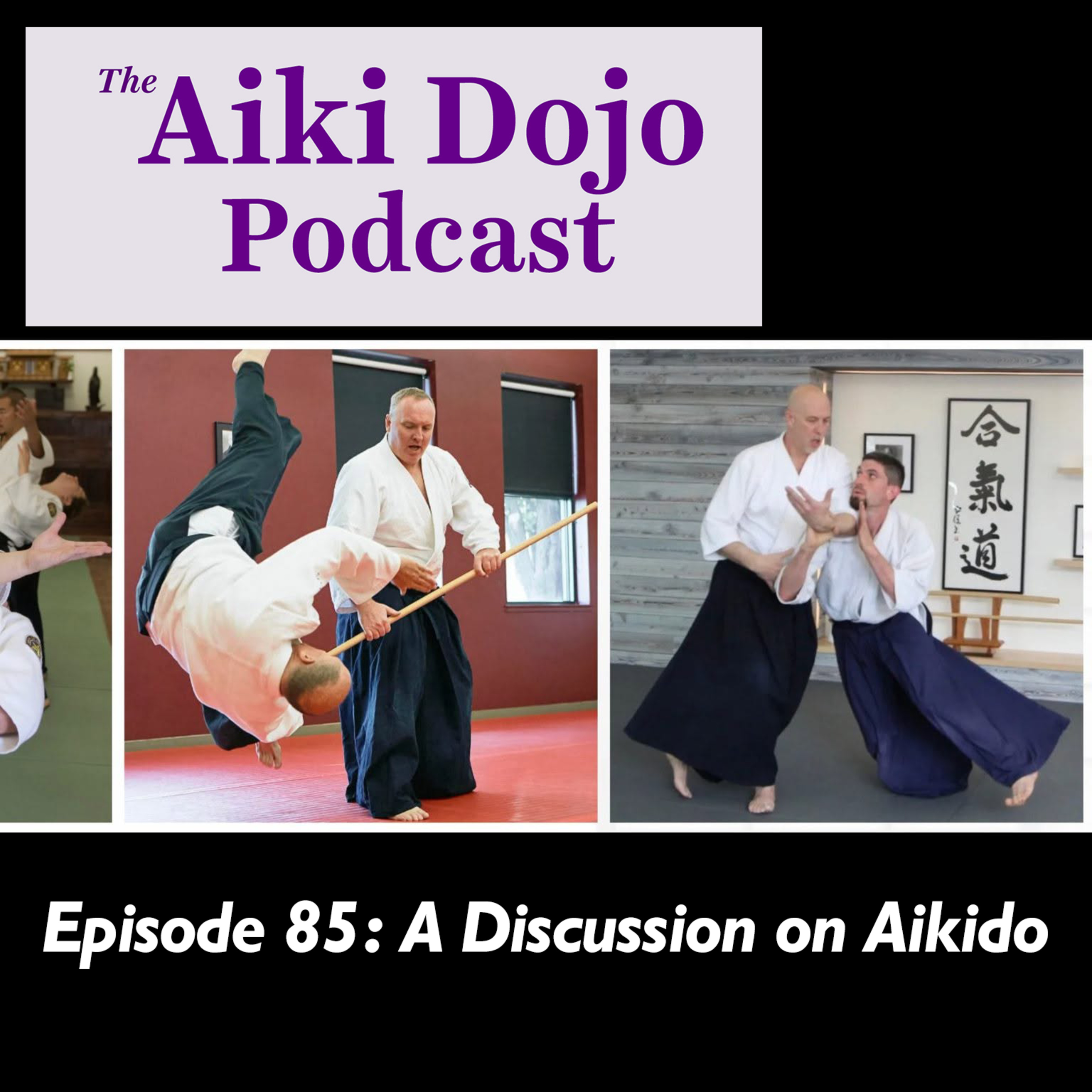 A Discussion on Aikido