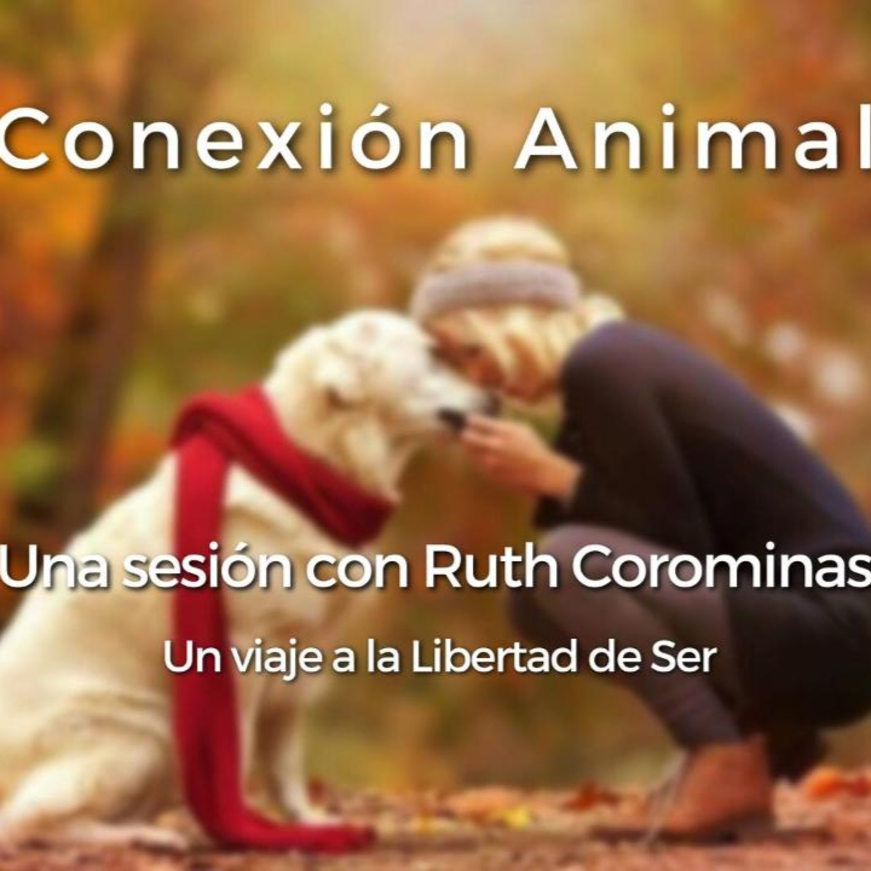 Instituto Virtual Metatron