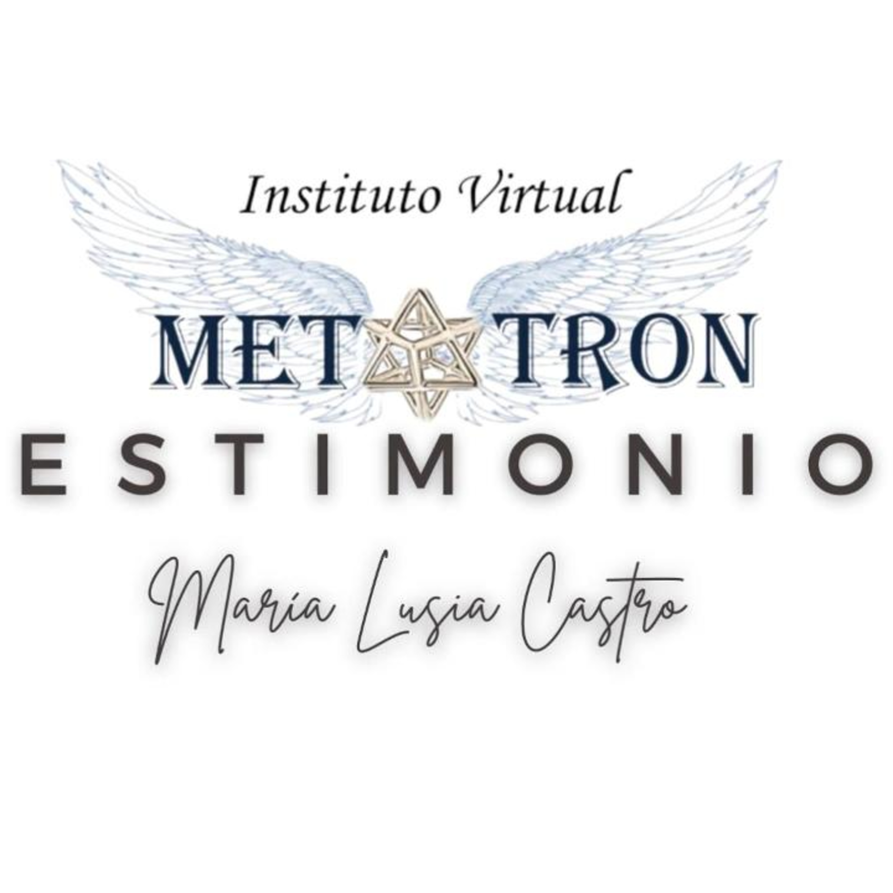 Instituto Virtual Metatron
