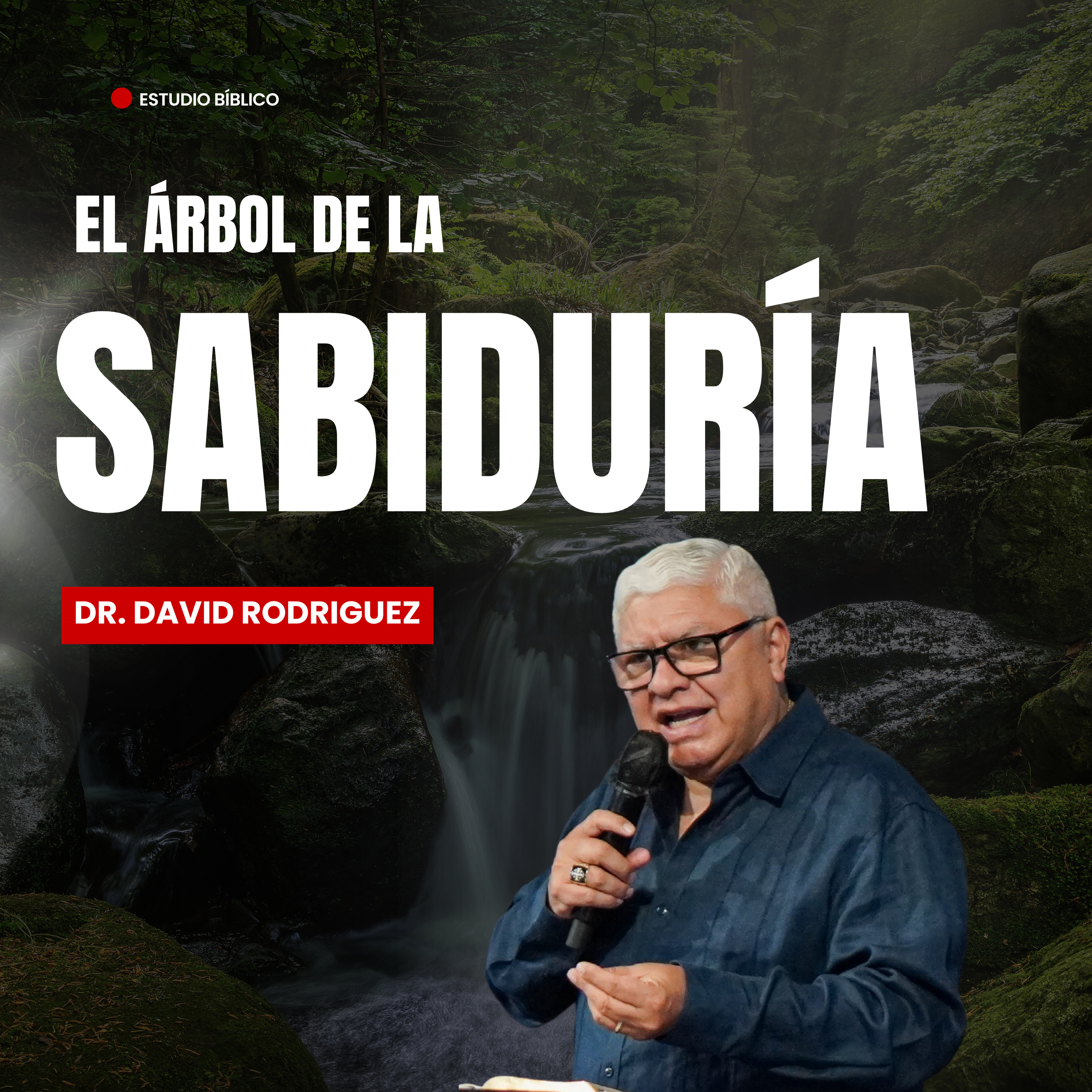 El árbol de la sabiduría