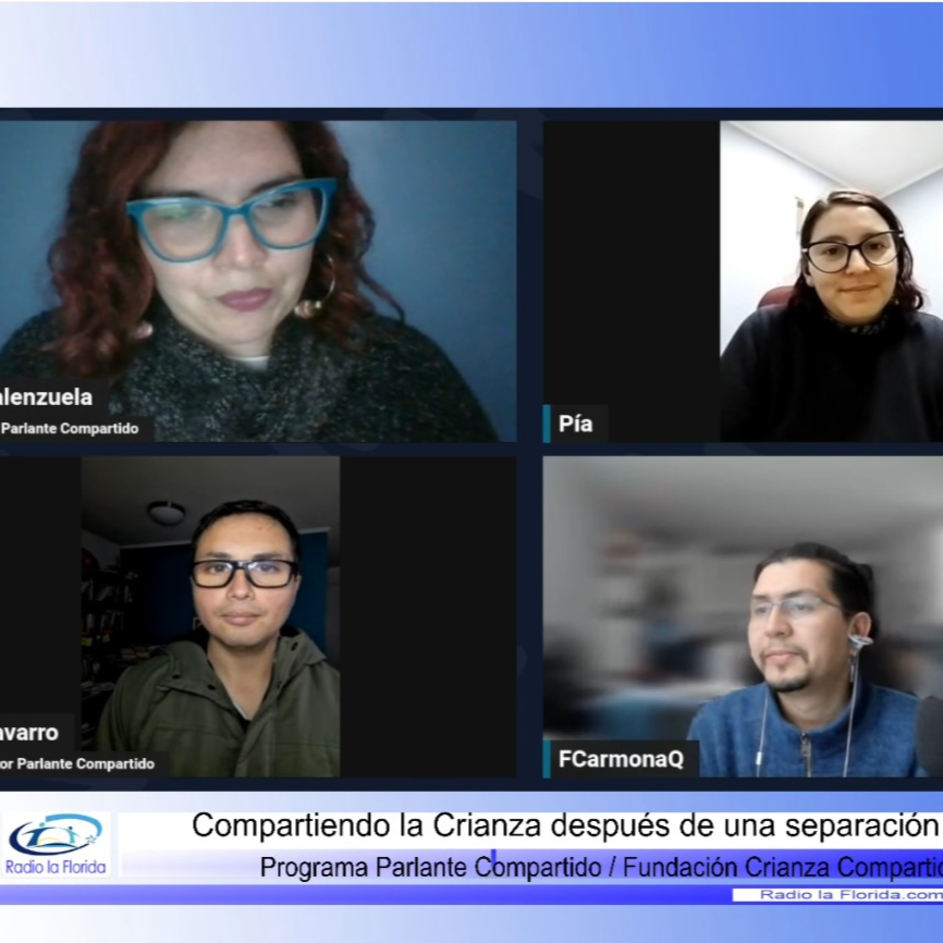 Segundo programa de la Fundación - Compartiendo la crianza después de la separacion