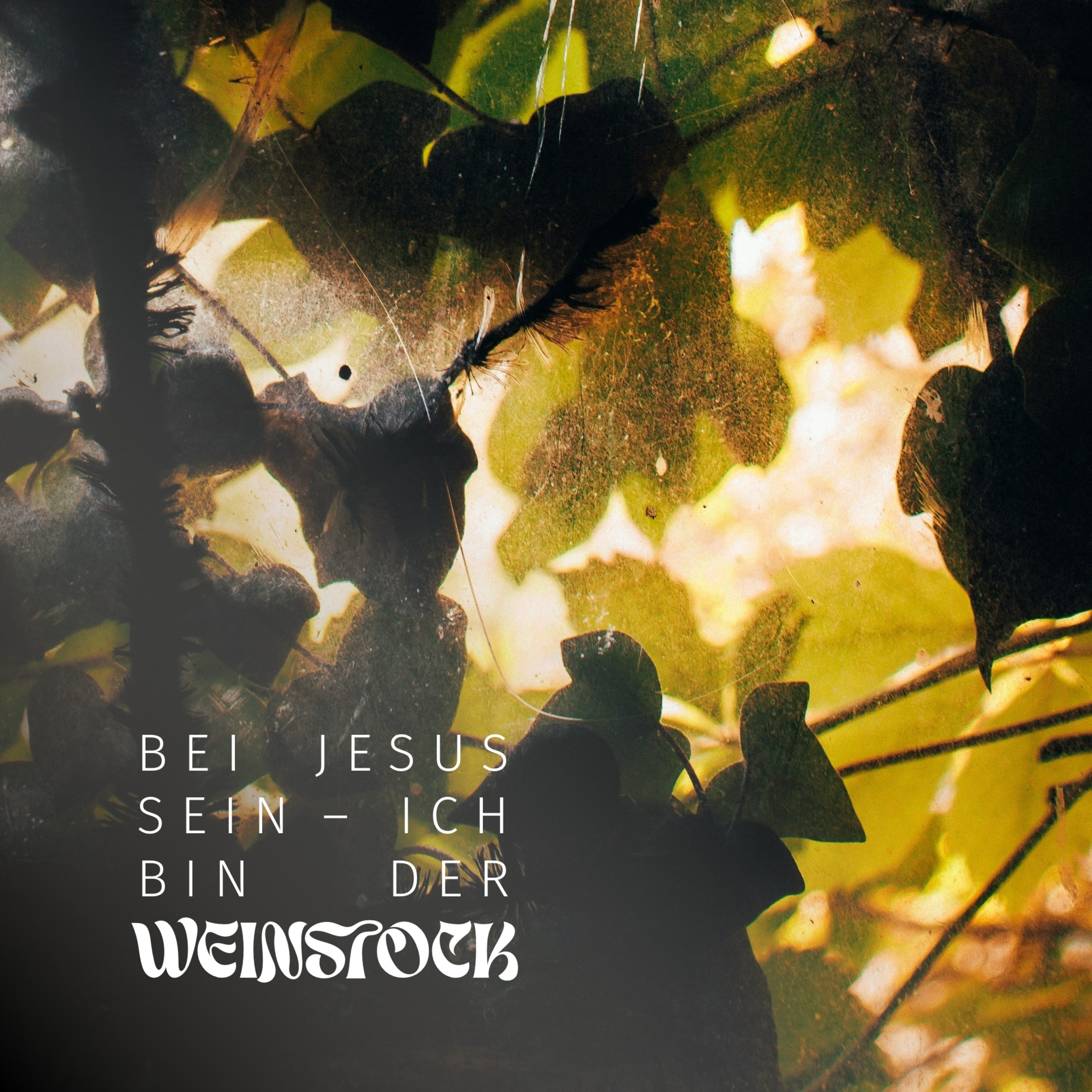 Bei Jesus sein - Ich bin der Weinstock episode artwork