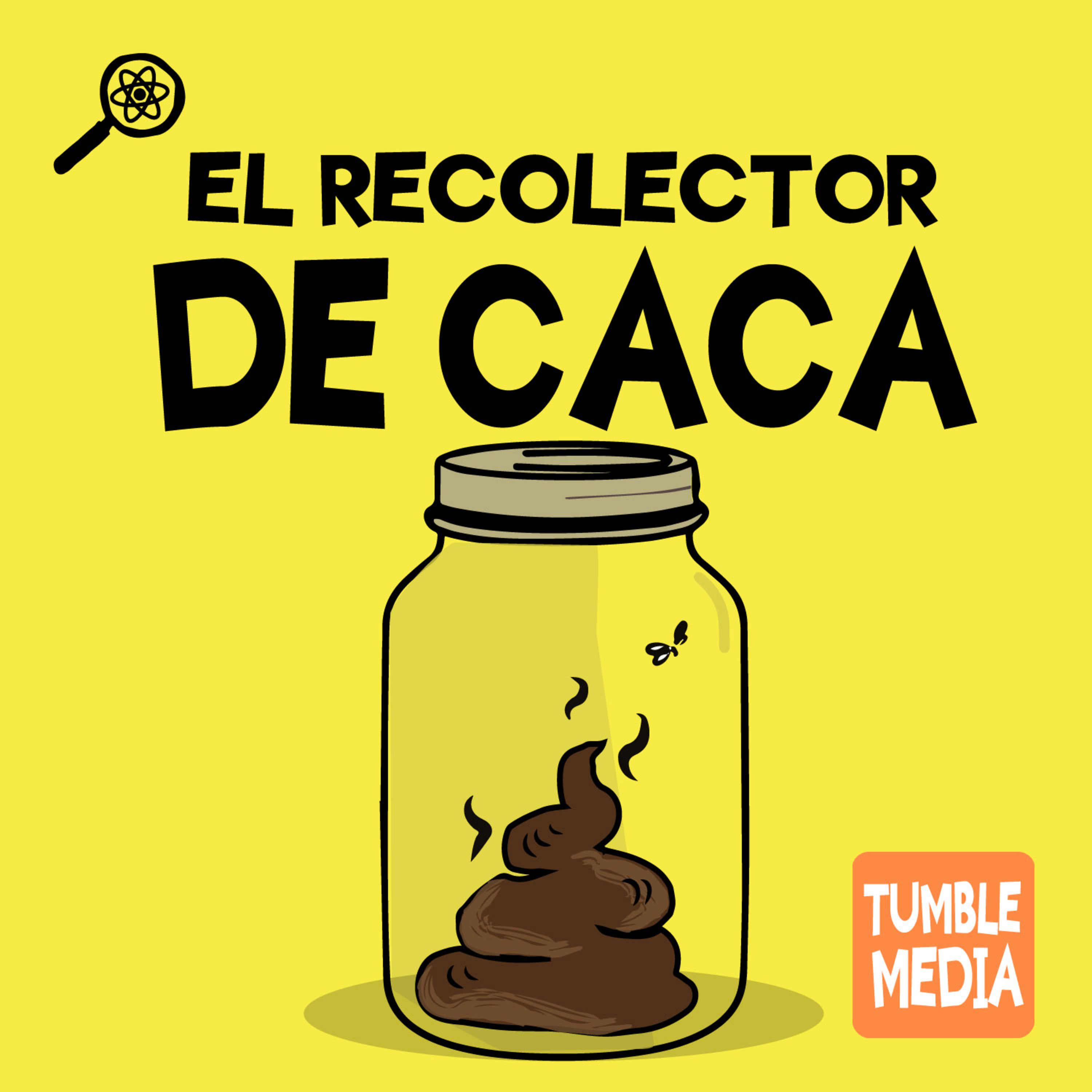 Tumble en Español