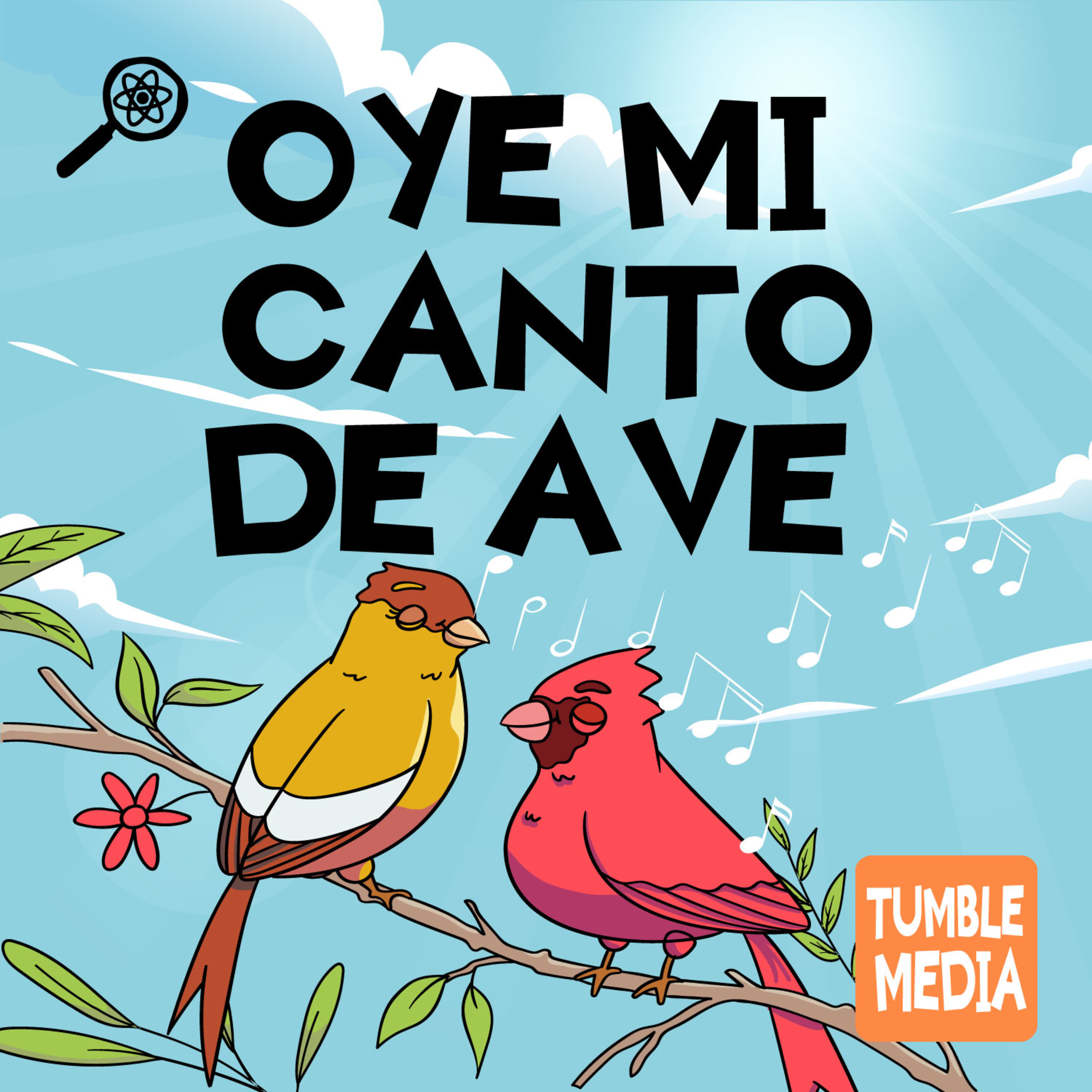 Tumble en Español