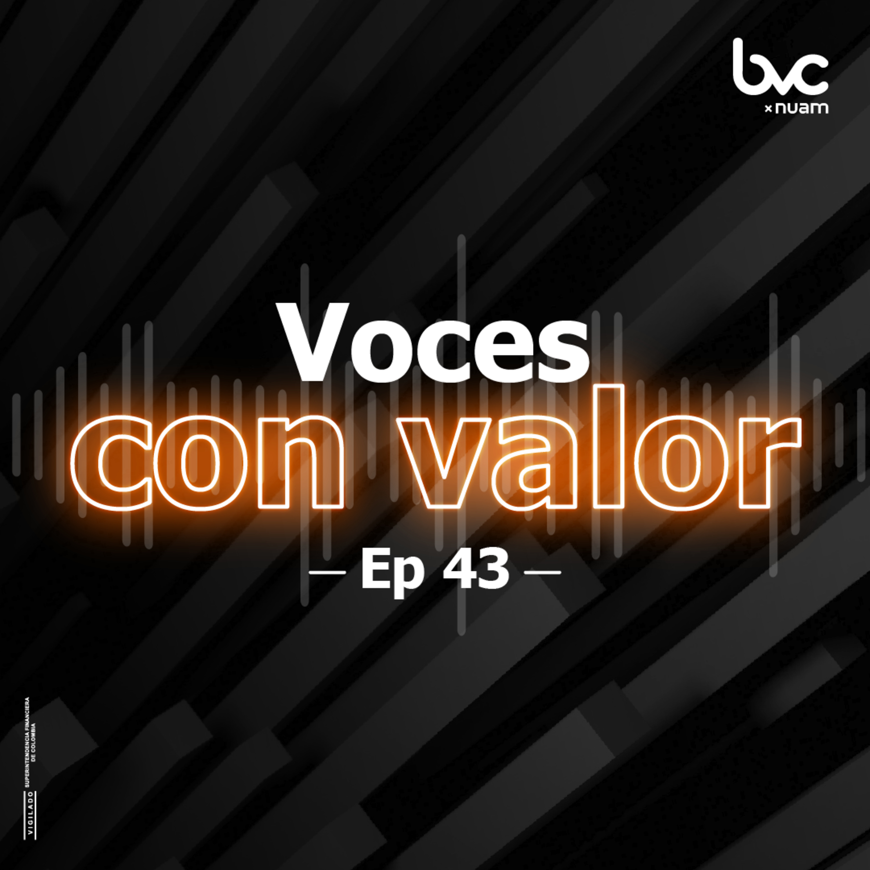Voces con valor