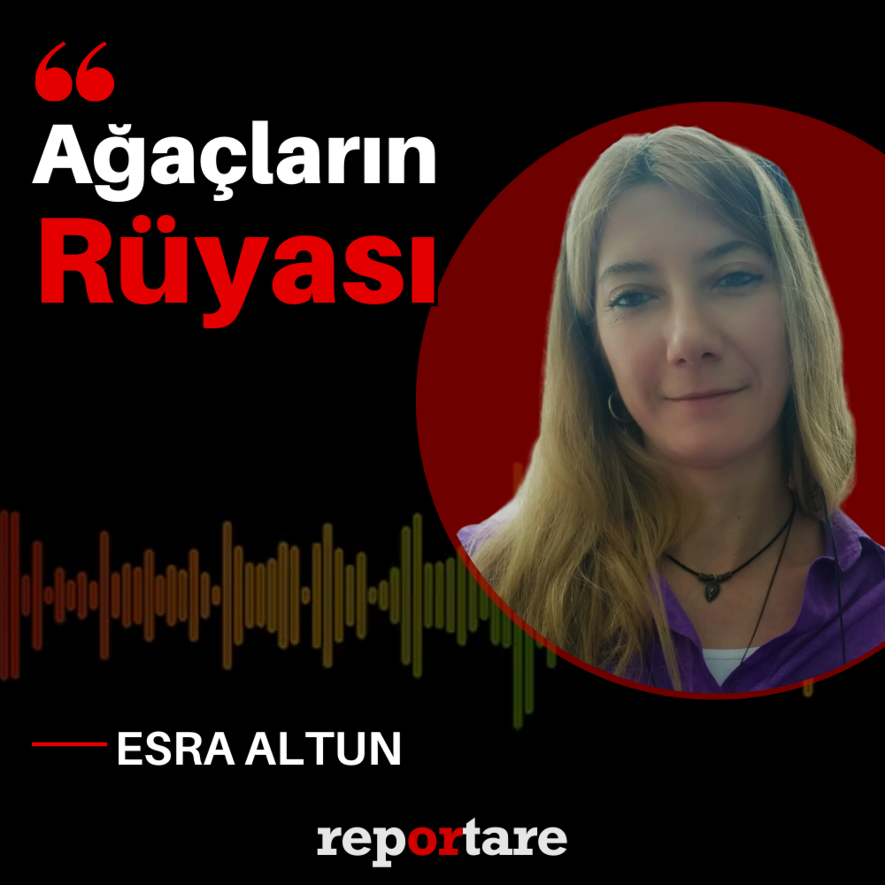 Reportare