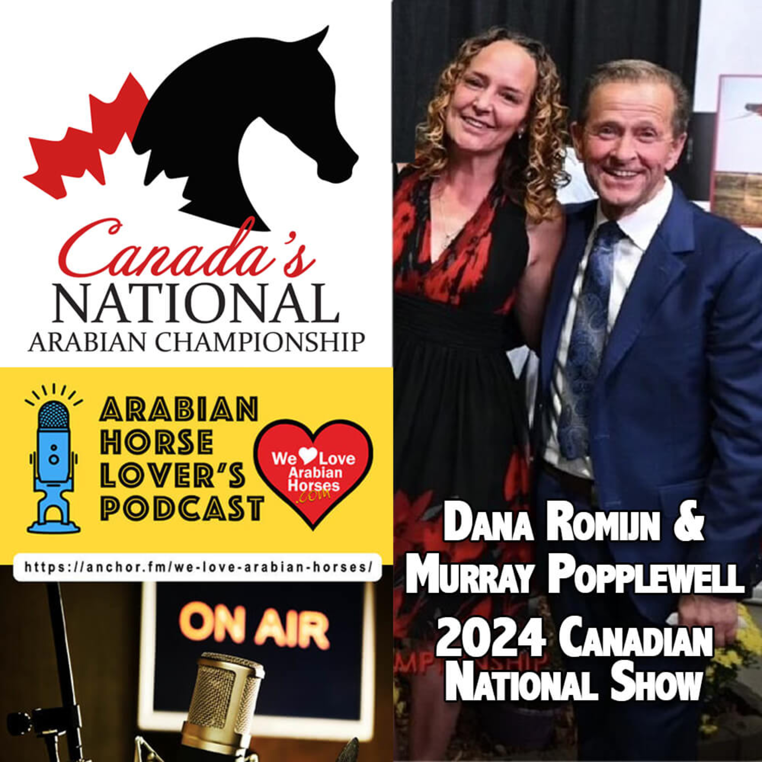We LOVE Arabian Horses Global Podcast