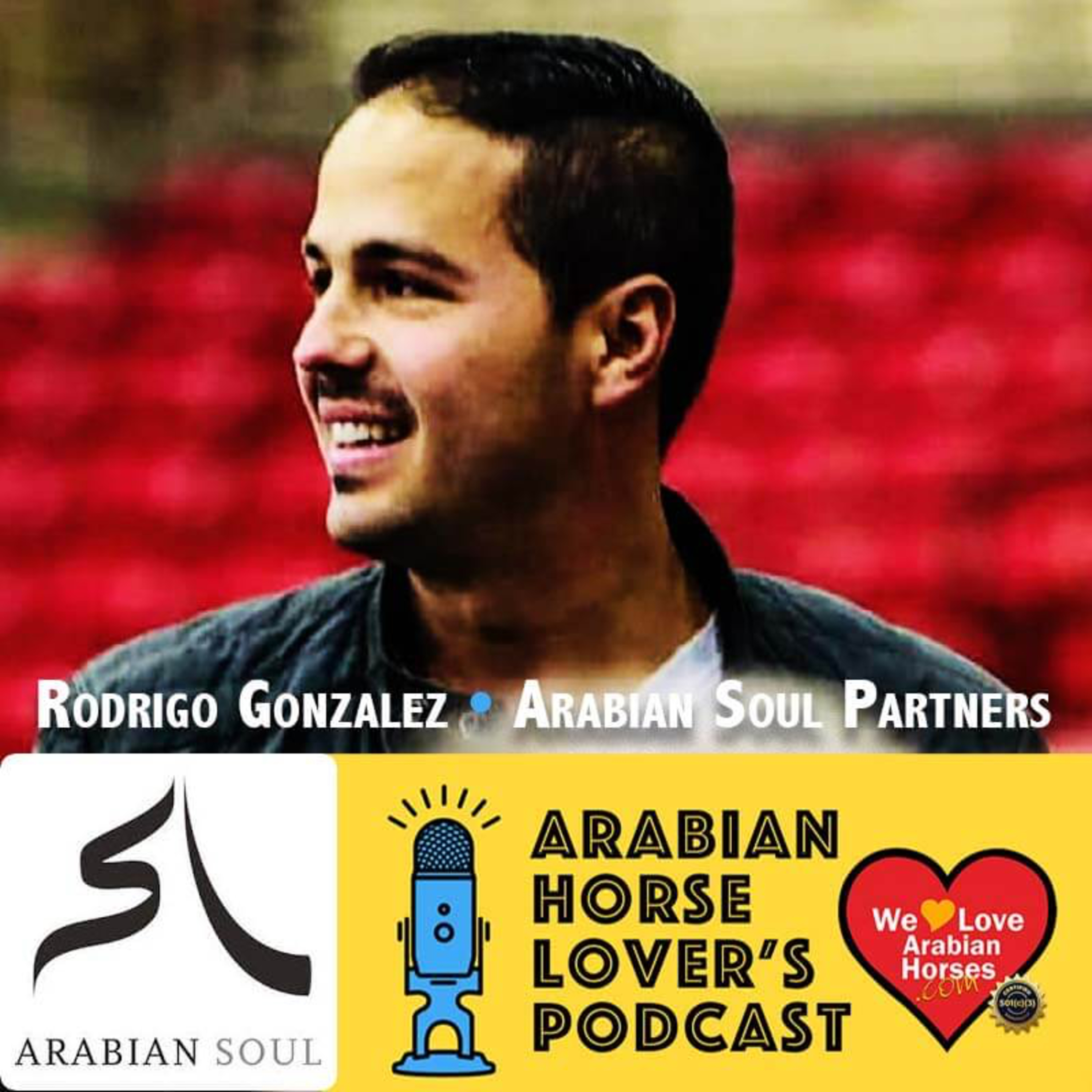 We LOVE Arabian Horses Global Podcast