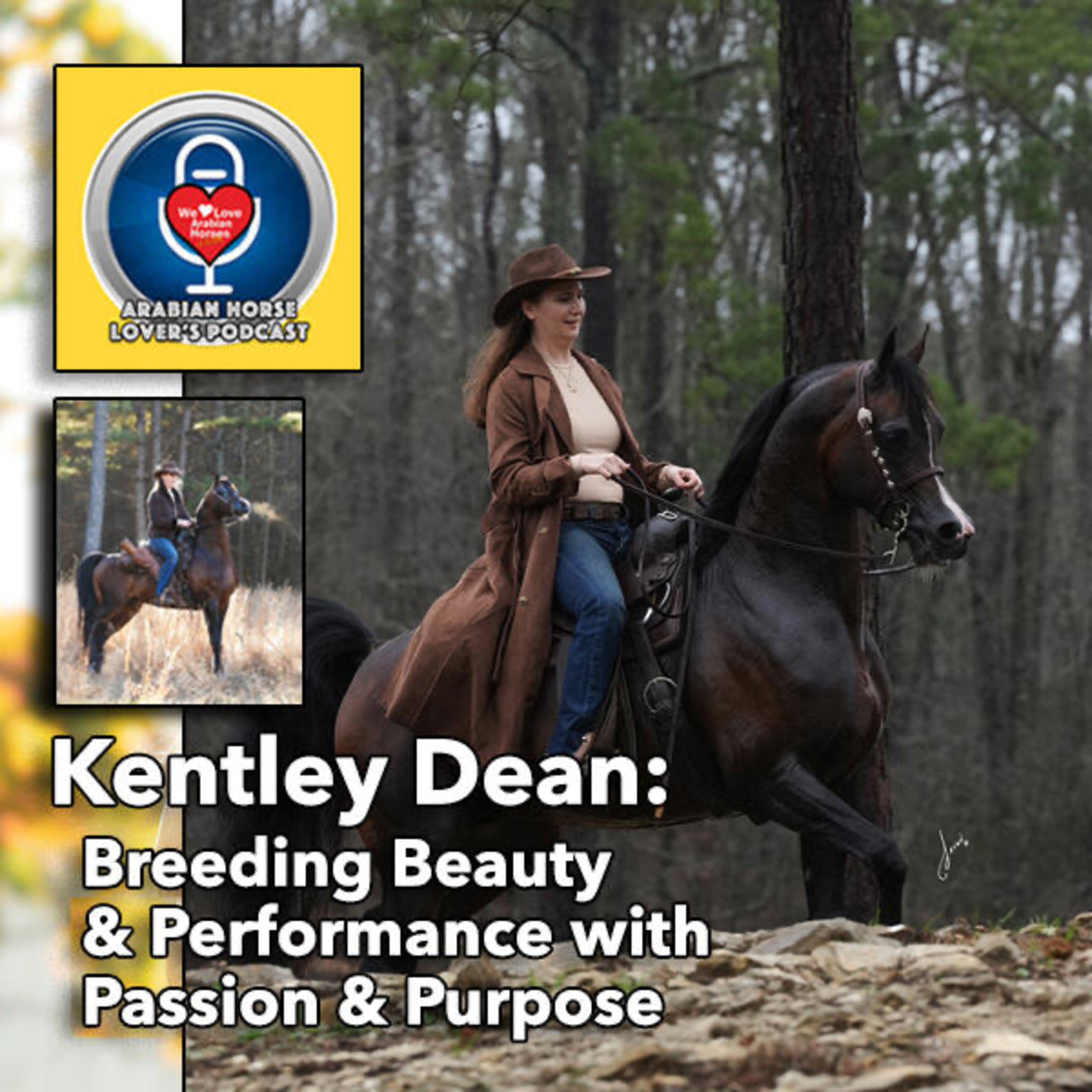 Kentley Dean • Breeding Beauty & Performance with Purpose