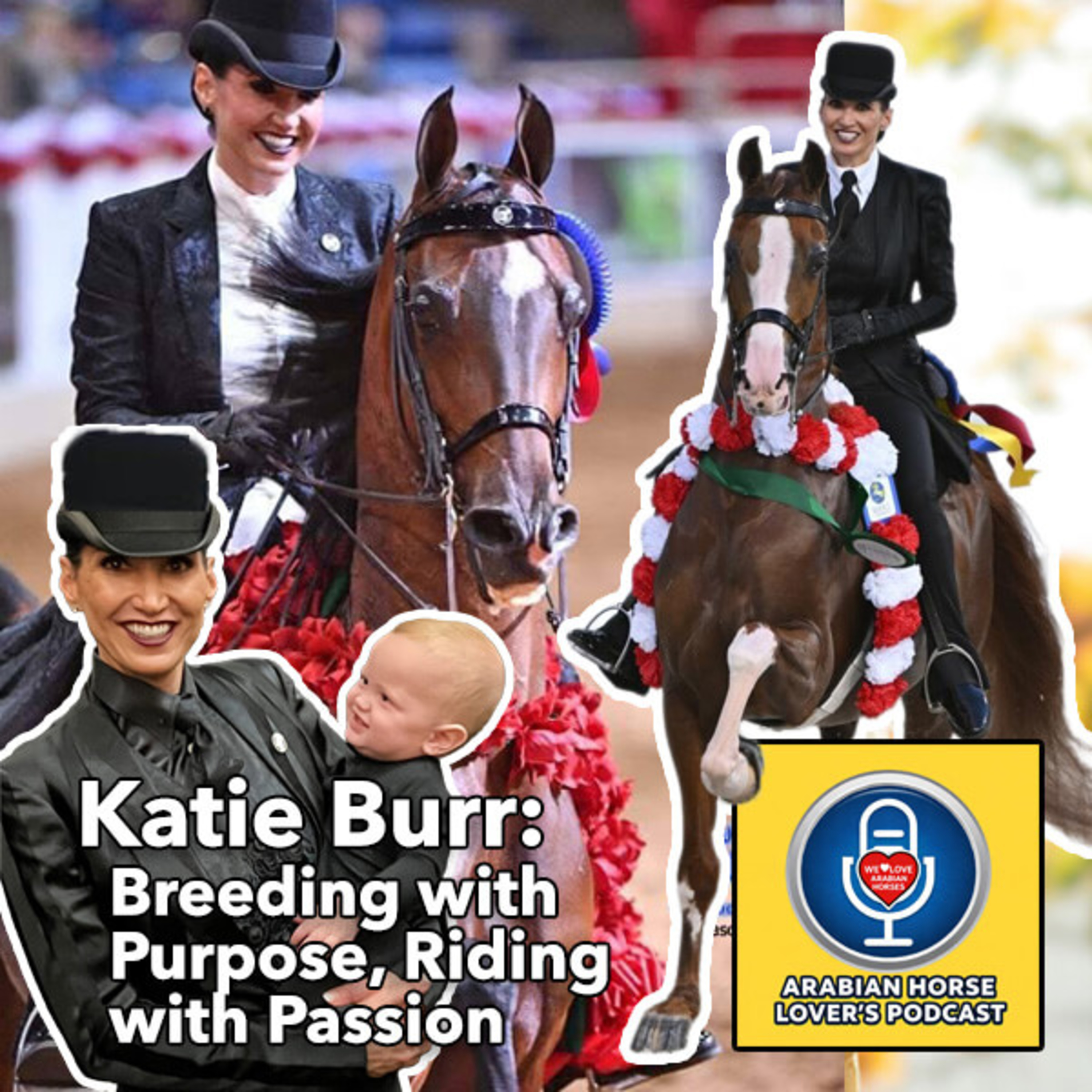 Katie Burr Solek • Breeding with Purpose, Riding with Passion