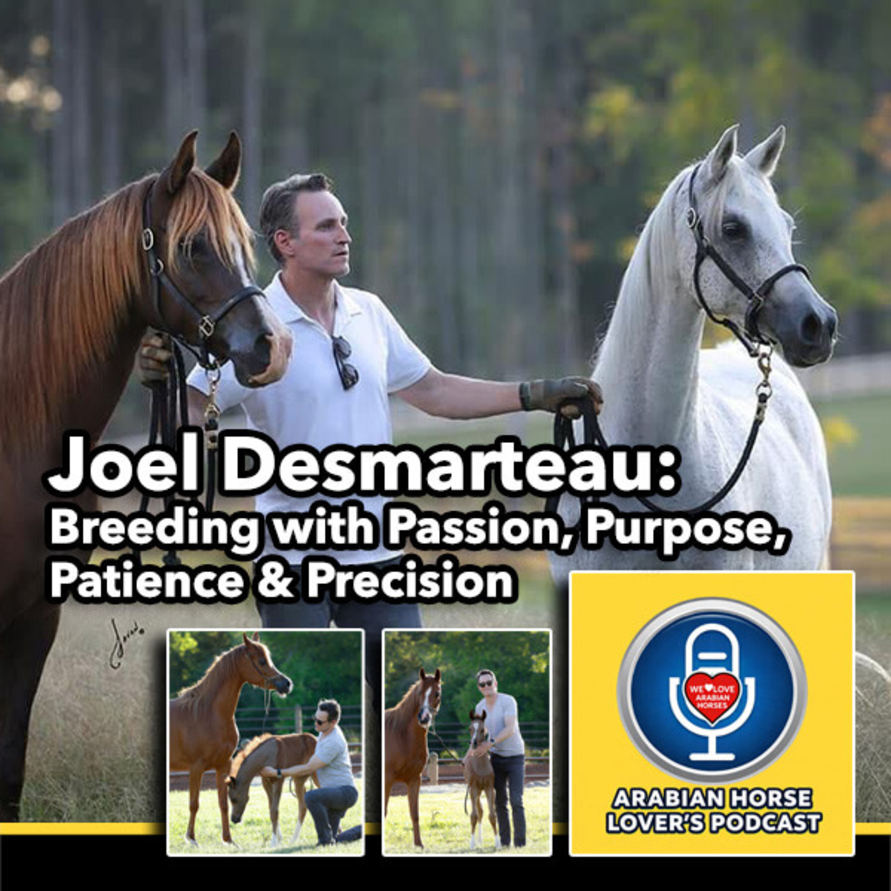 Joel Desmarteau • Breeding with Passion, Purpose, Patience & Precision