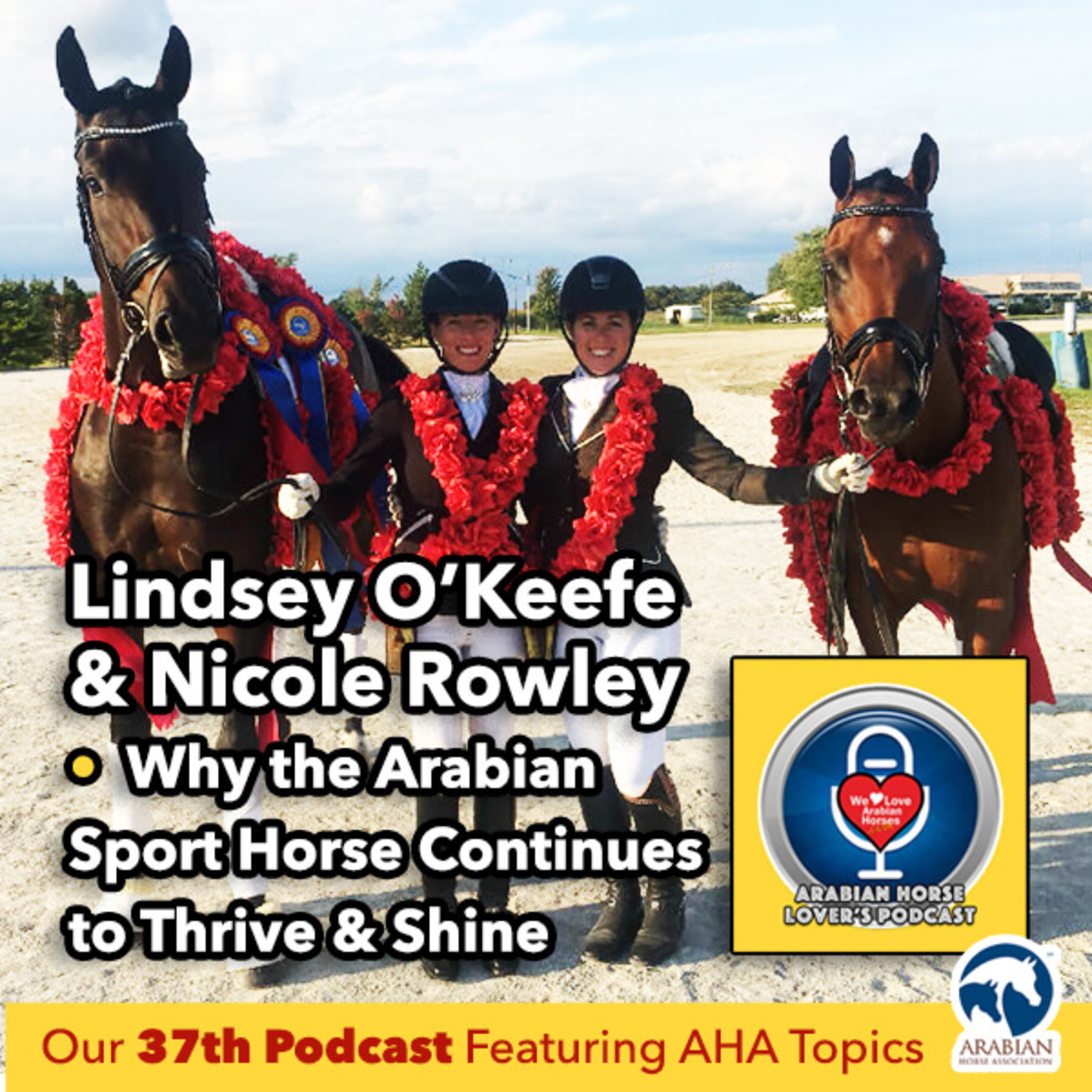 Lindsey O'Keefe & Nicole Rowley • Why the Arabian Sport Horse Continues to Thrive & Shine