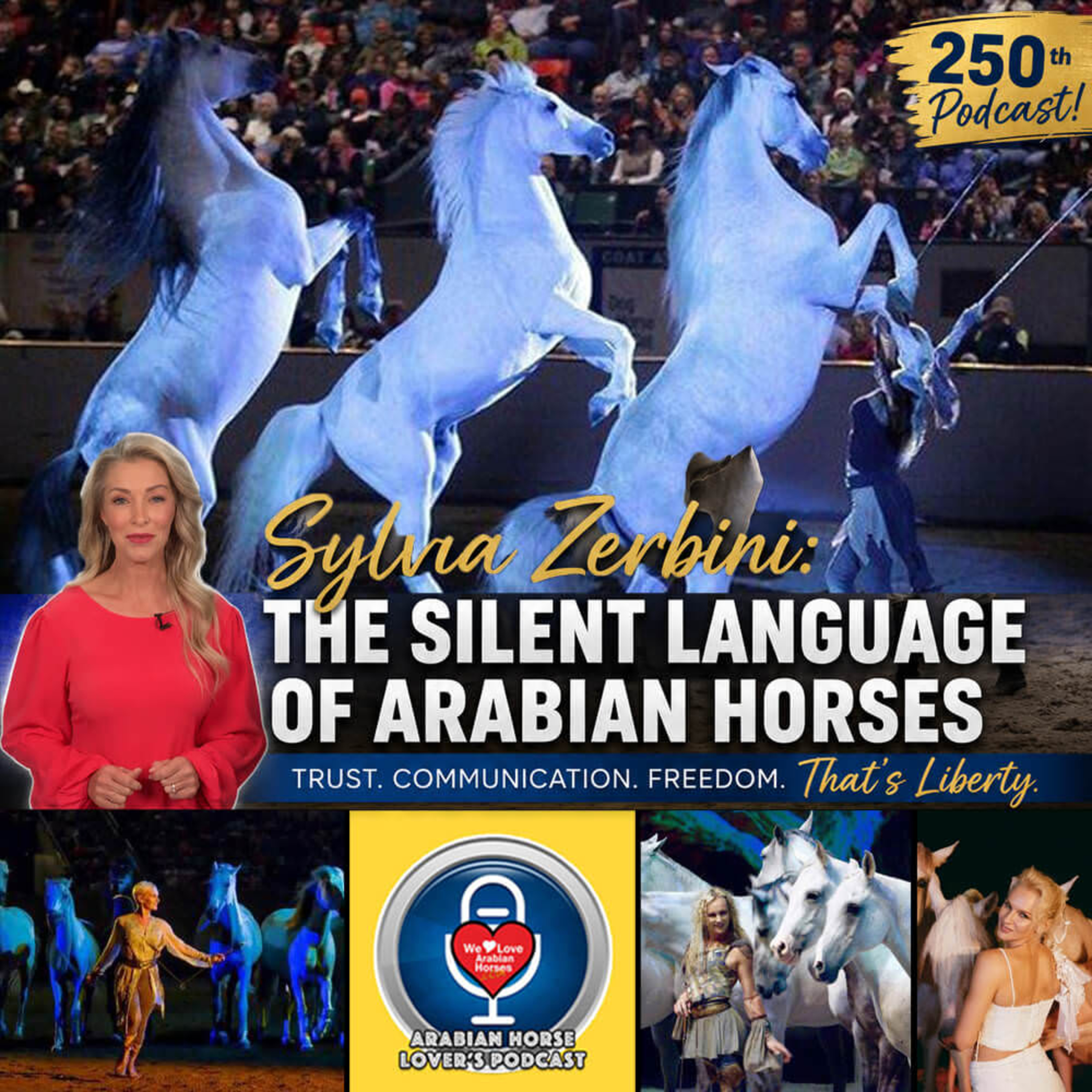 Sylvia Zerbini • The Silent Language of Arabian Horses