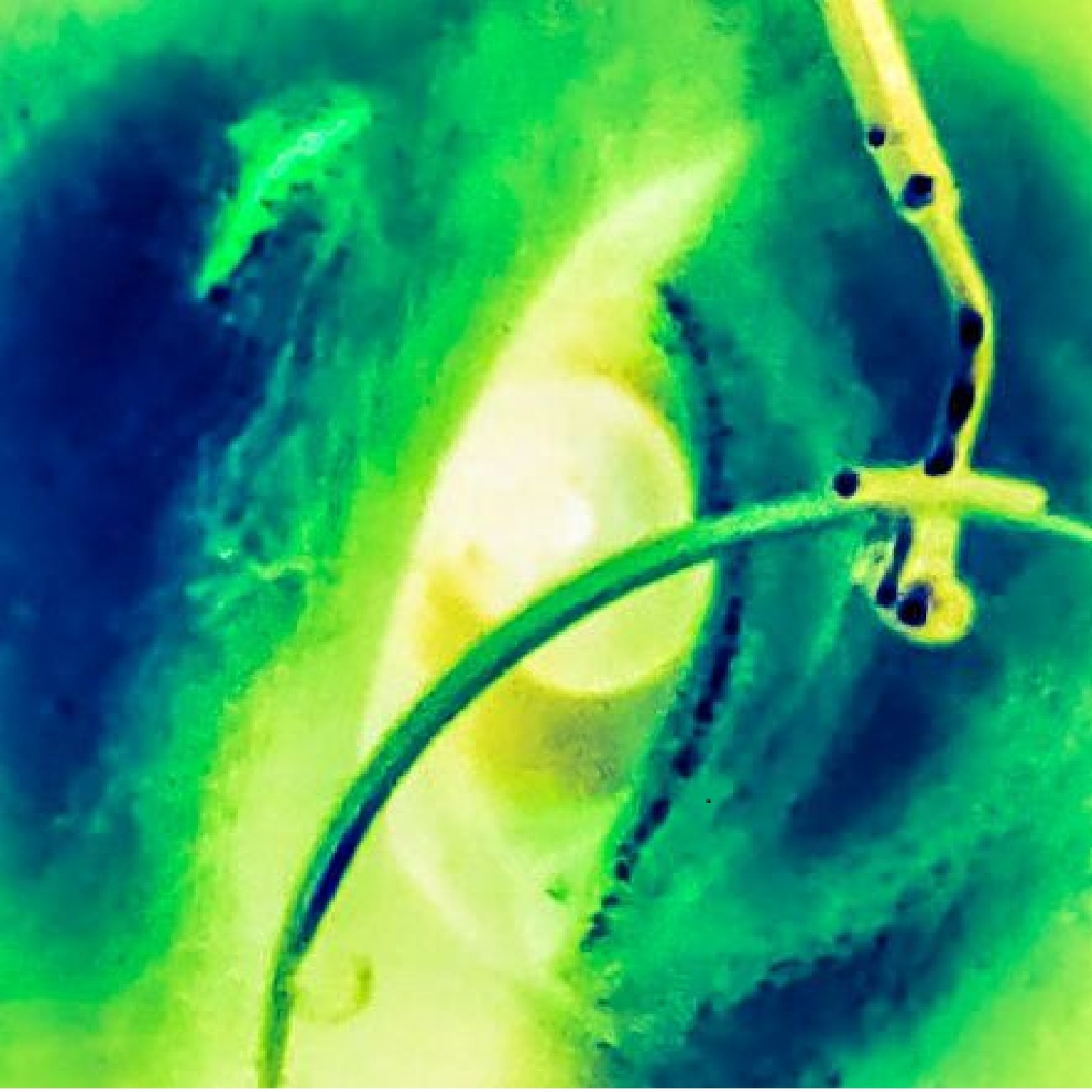 Harrison Potterson & The Shiny Rock V1.1.1 - Part 2 of 2