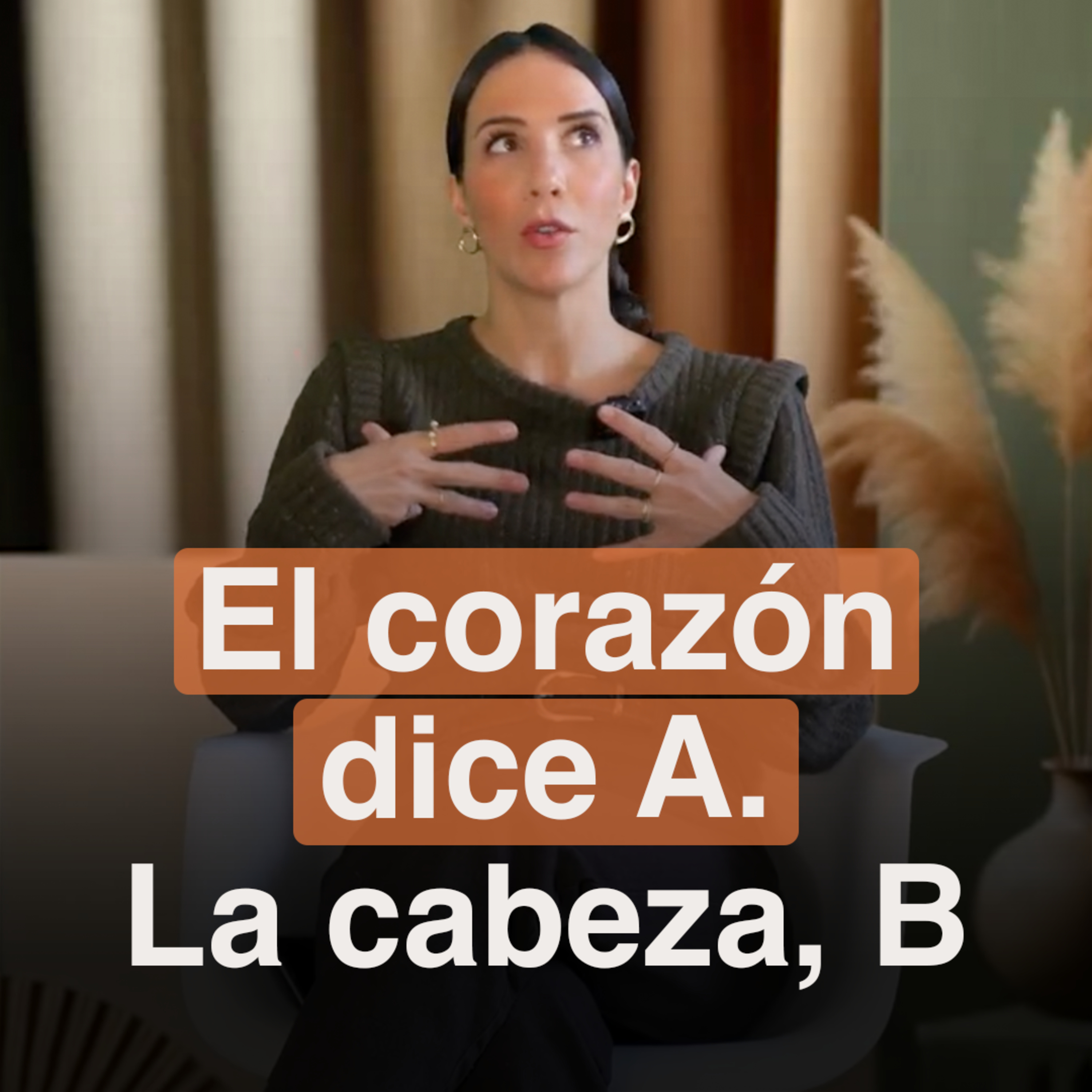 Portada de Programa MIA