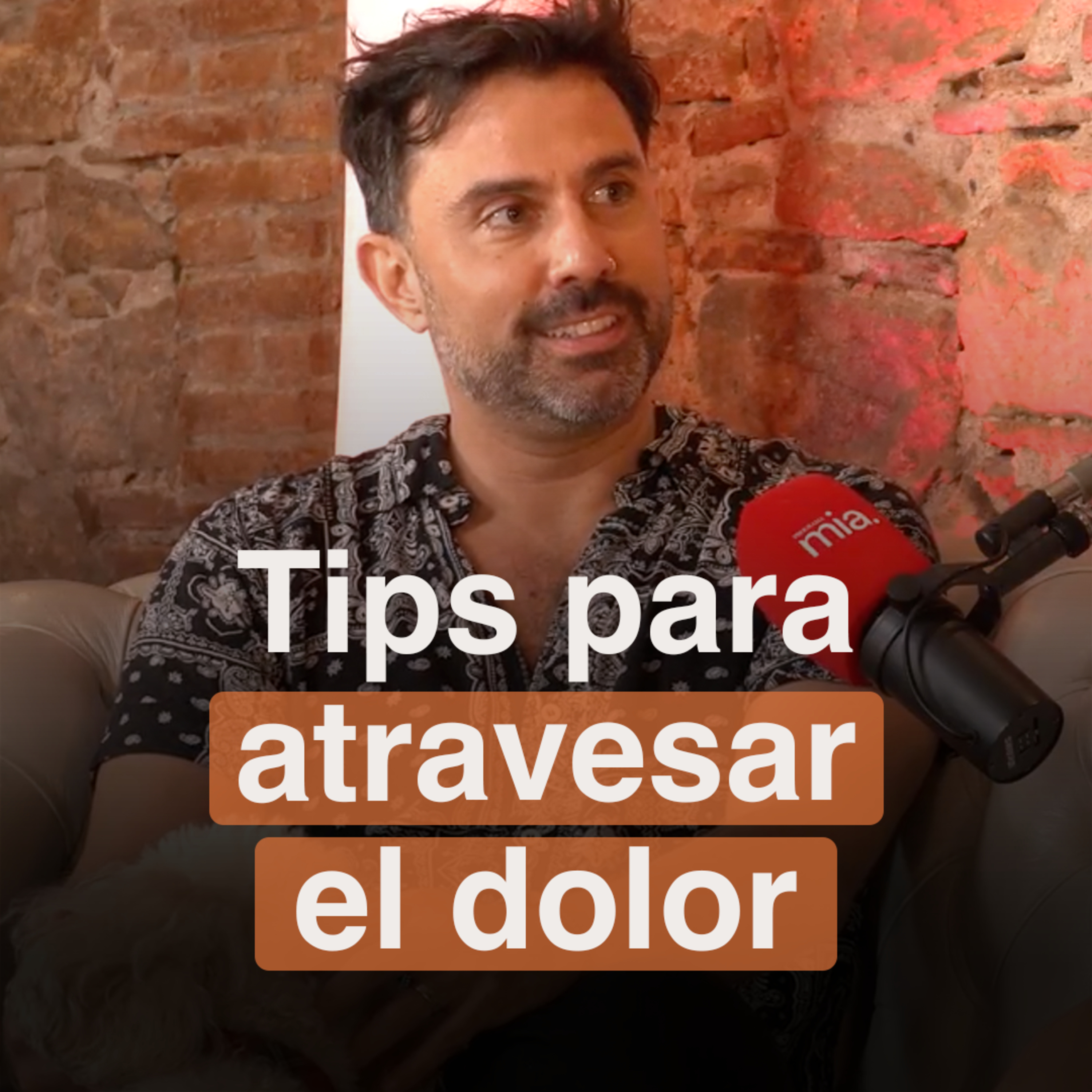Portada de Programa MIA