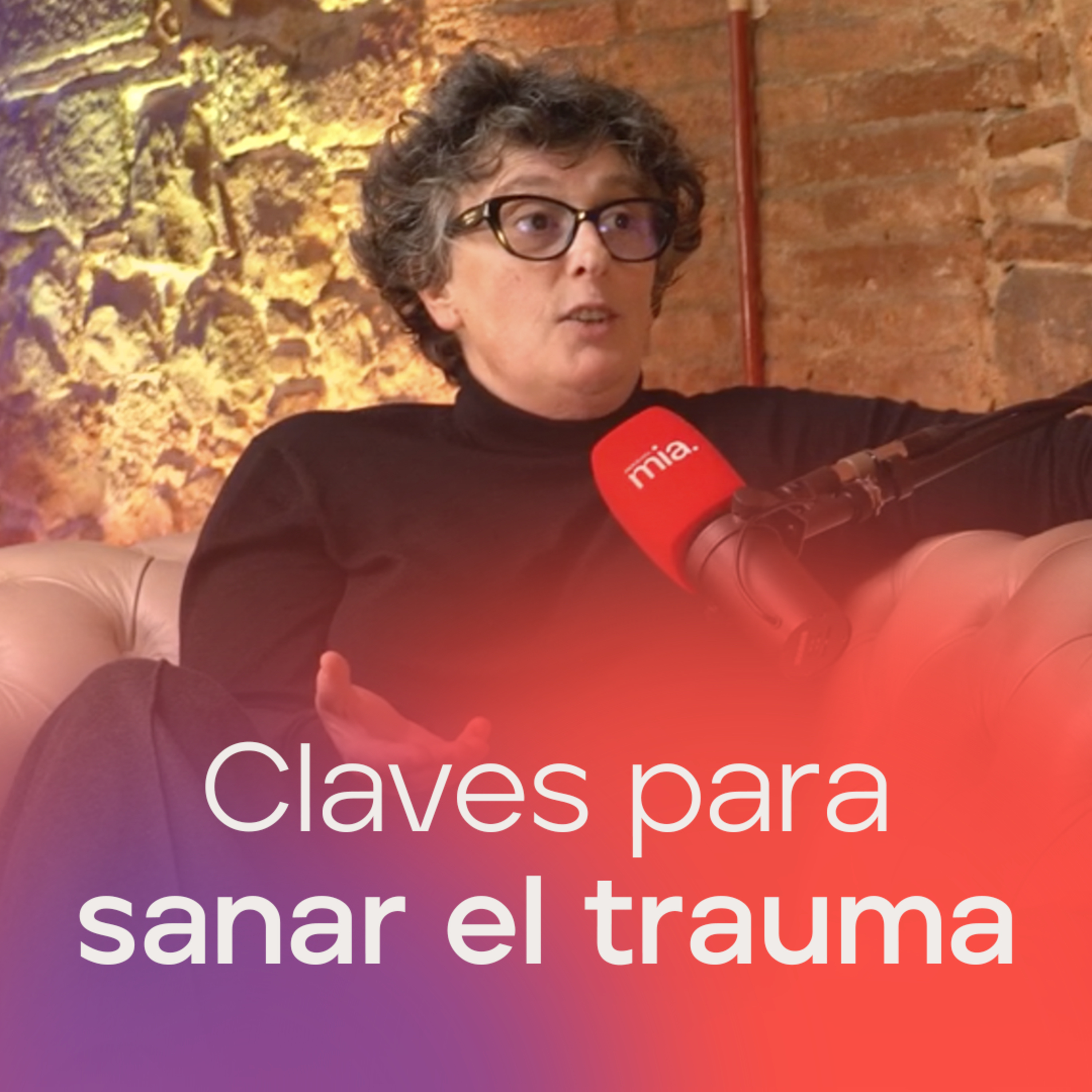 Portada de Programa MIA