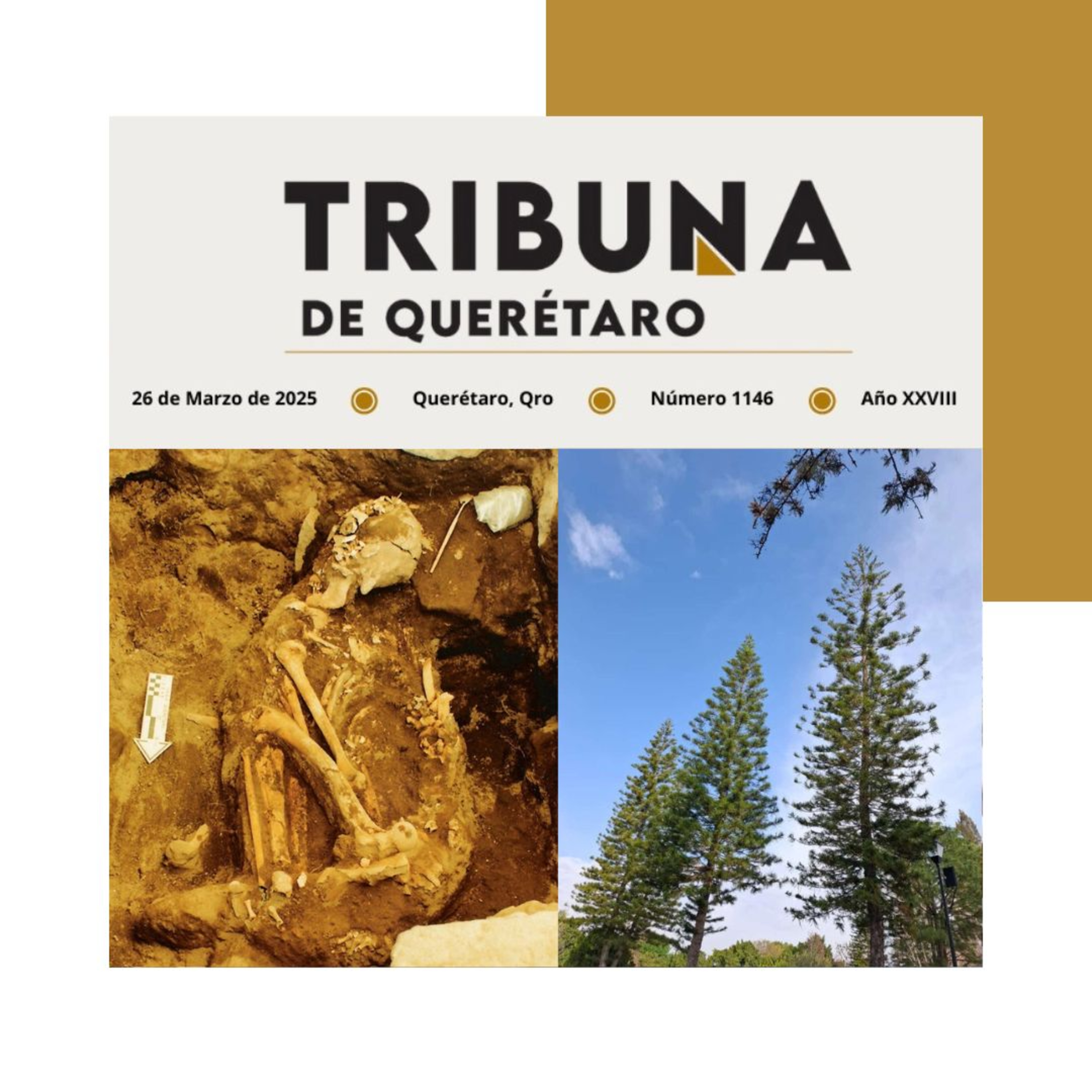 Portada de Tribuna de Querétaro