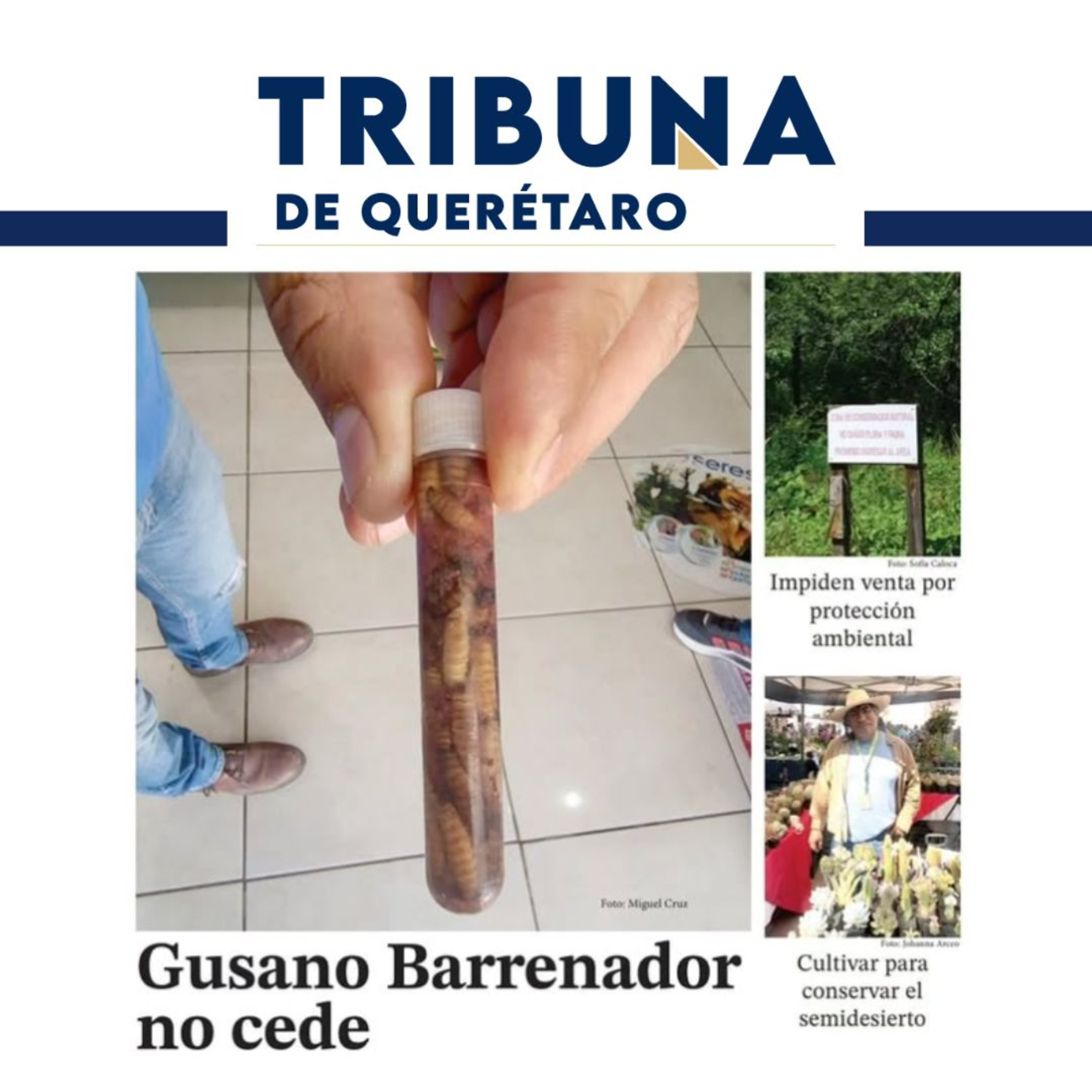 Portada de Tribuna de Querétaro