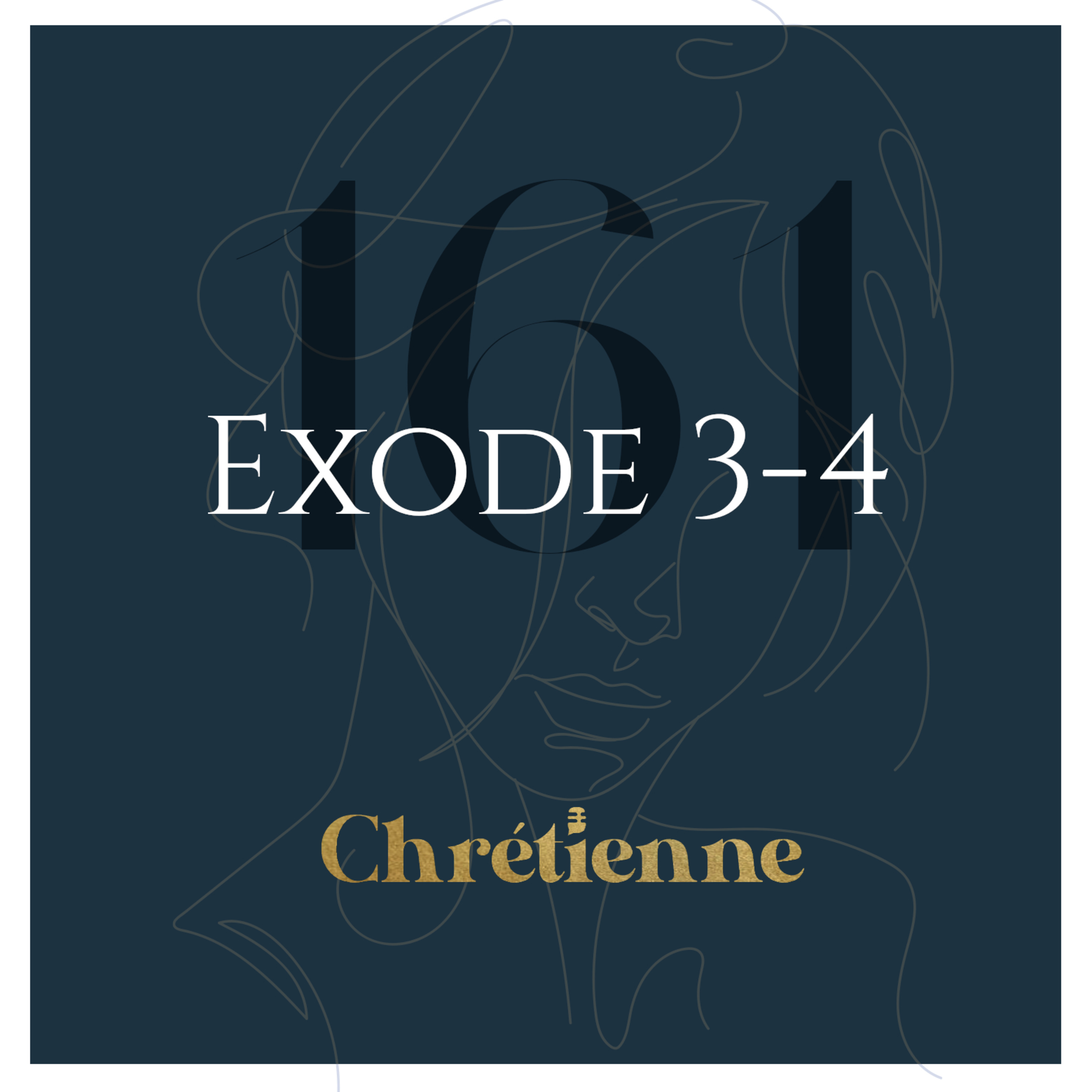 161. Dieu suscite un libérateur (Exode 3-4)