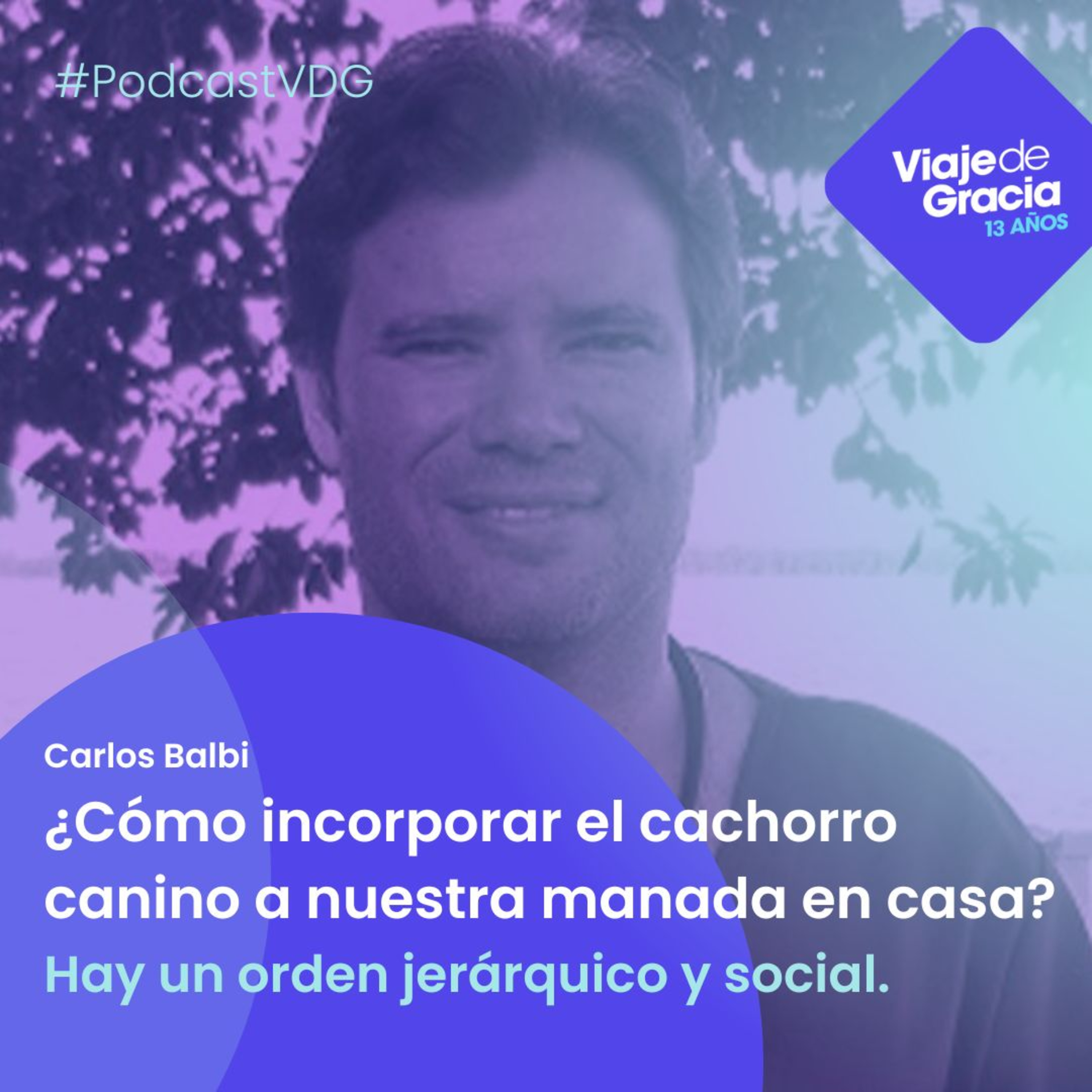 Portada de PODCAST VDG
