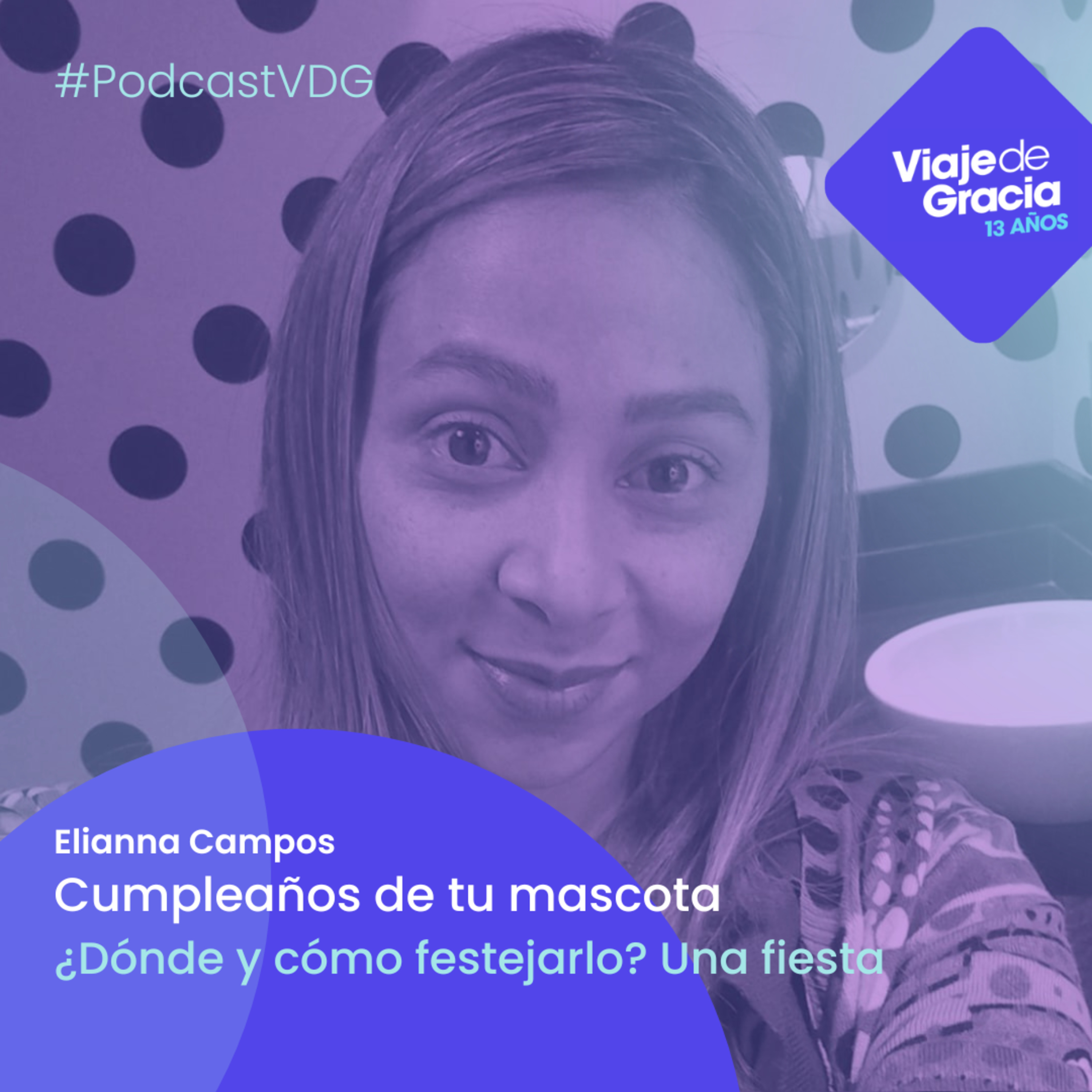PODCAST VDG