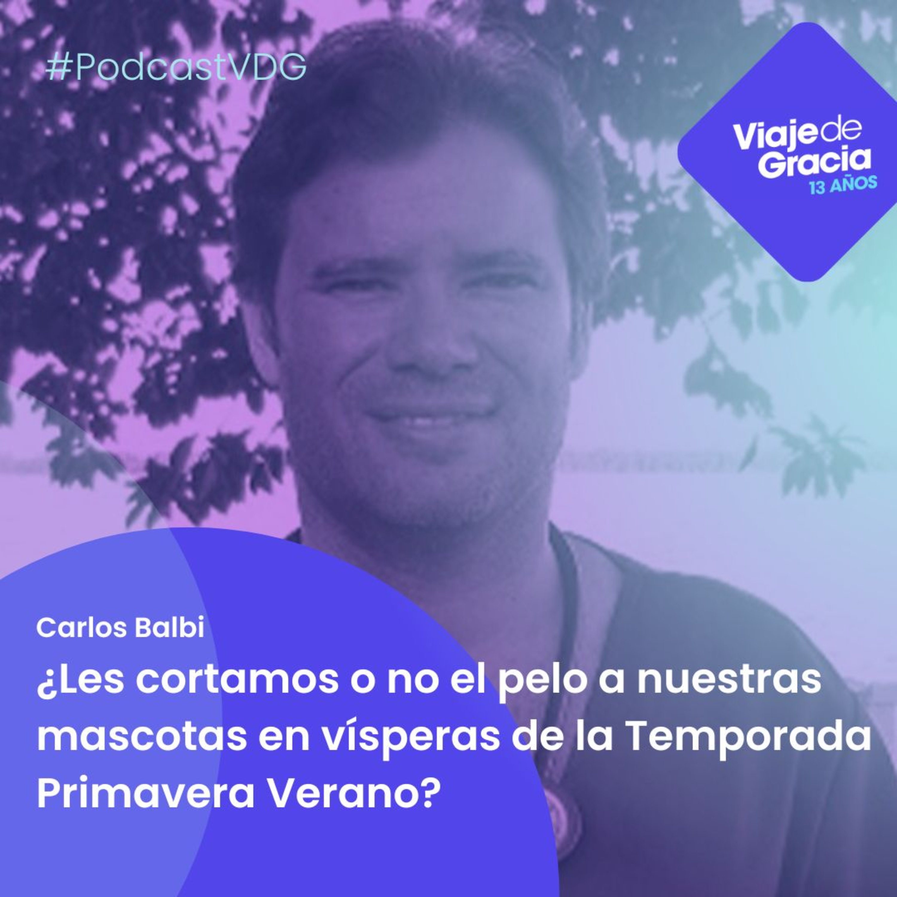 Portada de PODCAST VDG