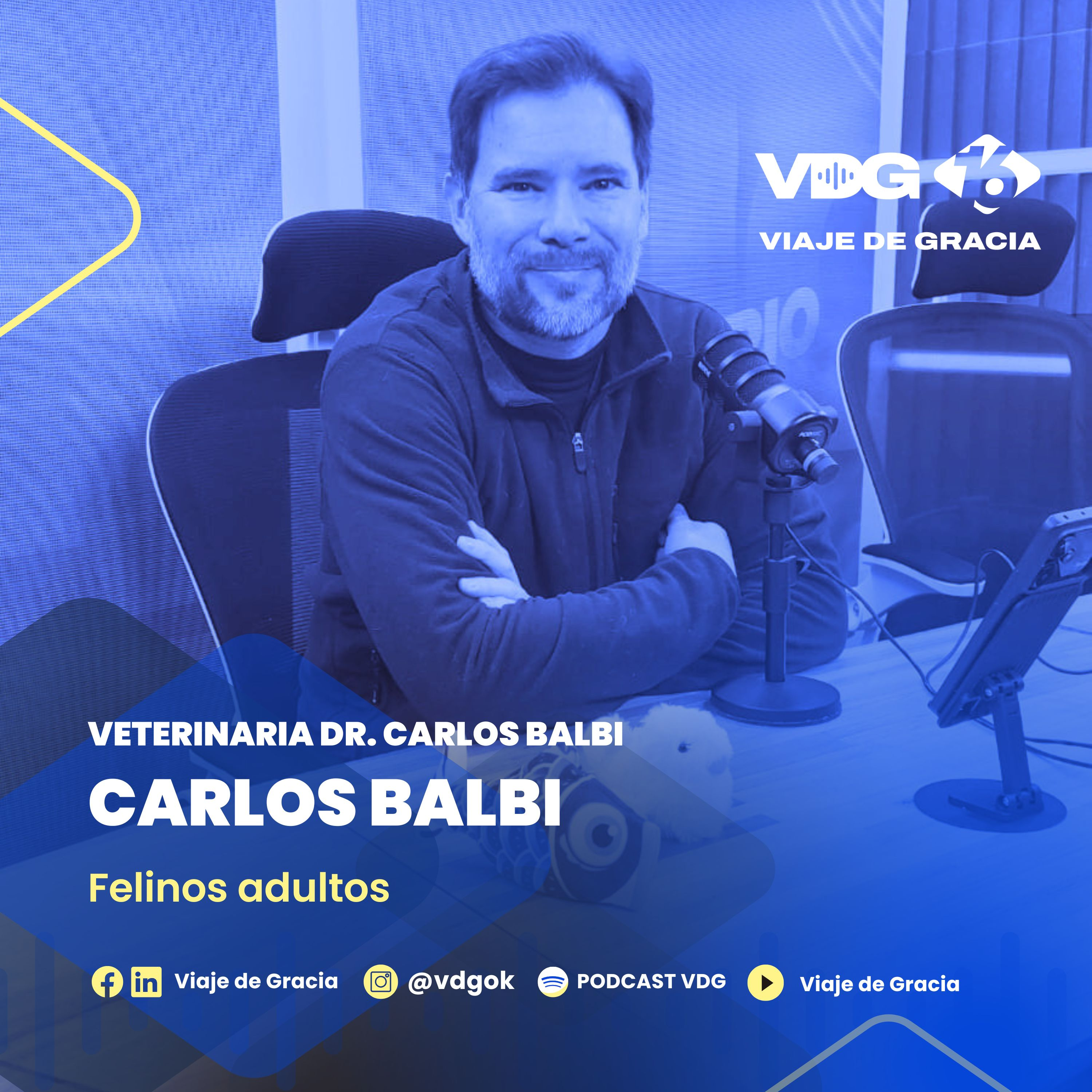 #605 🎙️ CARLOS BALBI | Felinos adultos | Plan de vacunación episode artwork