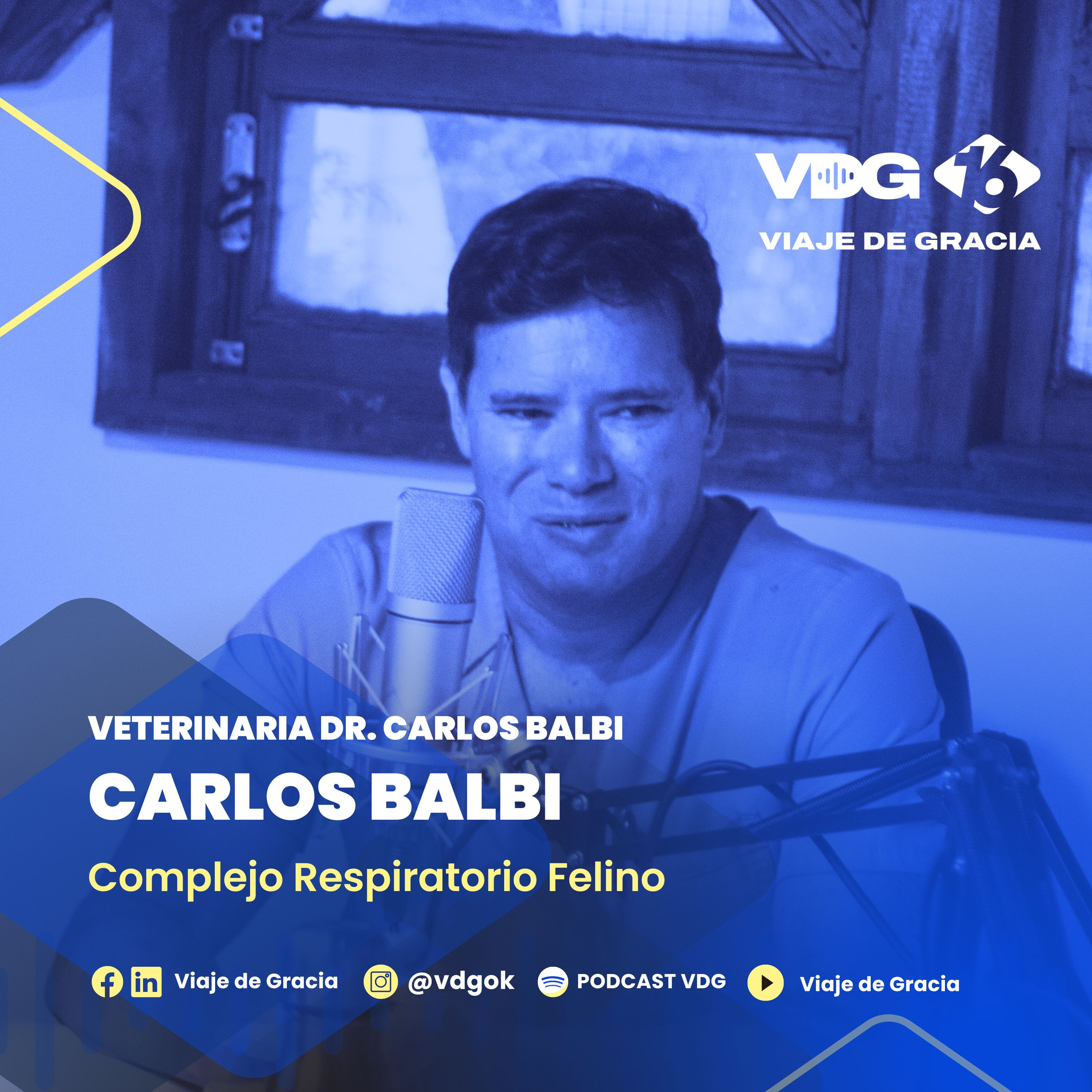 #634 🎙️ CARLOS BALBI | Complejo respiratorio felino episode artwork
