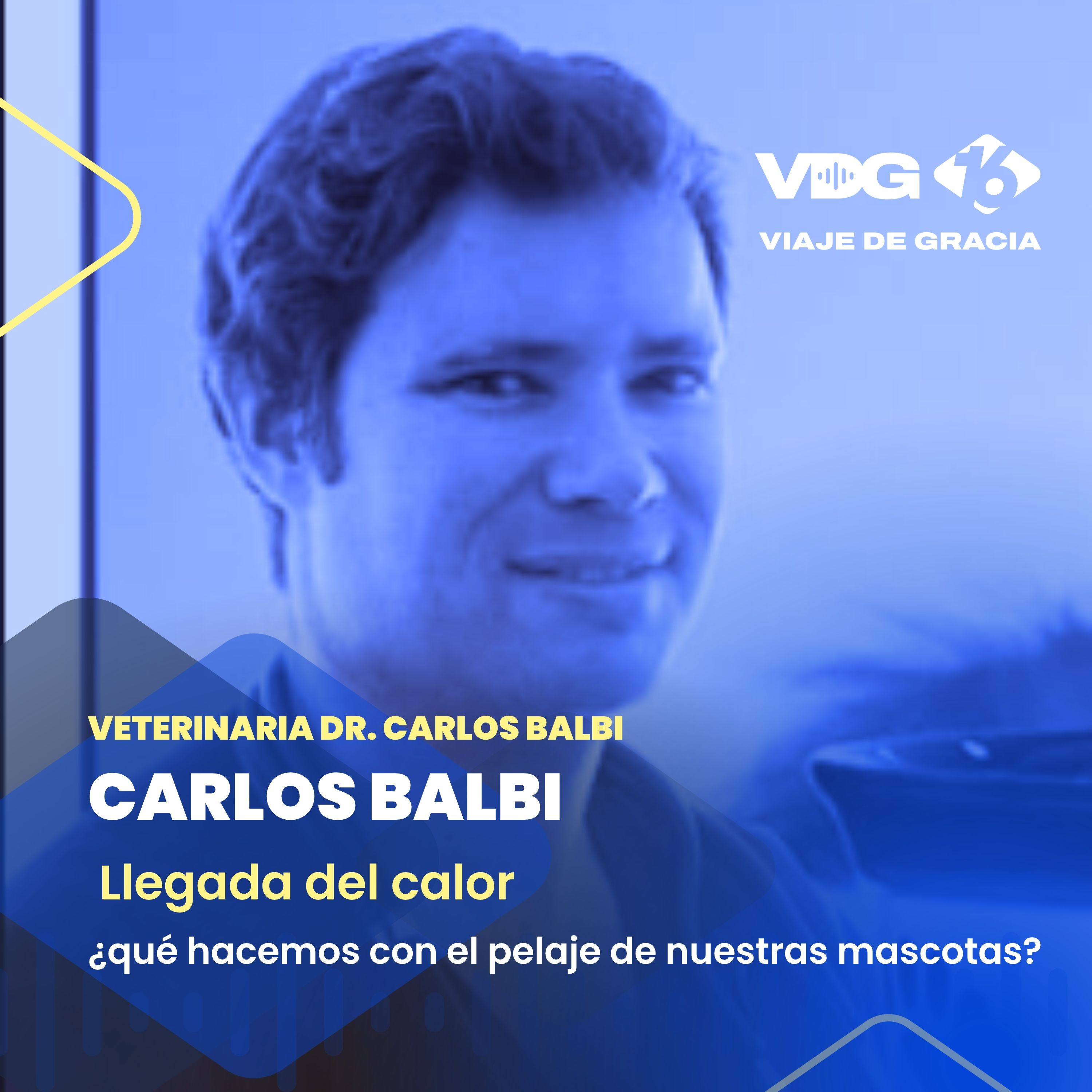 Portada de PODCAST VDG