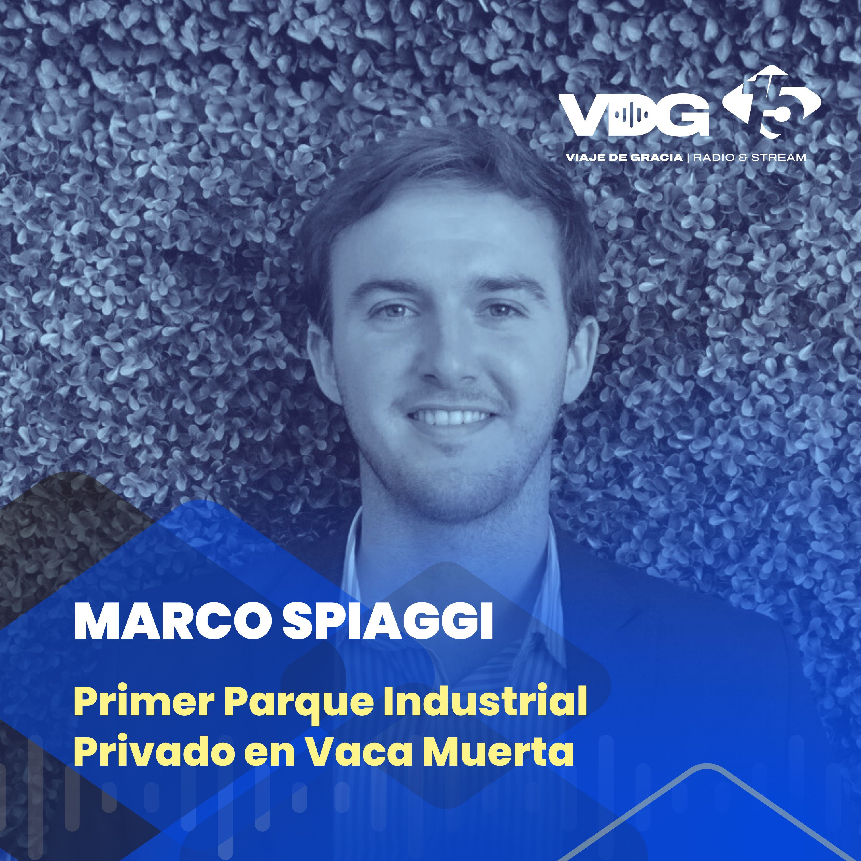 Portada de PODCAST VDG