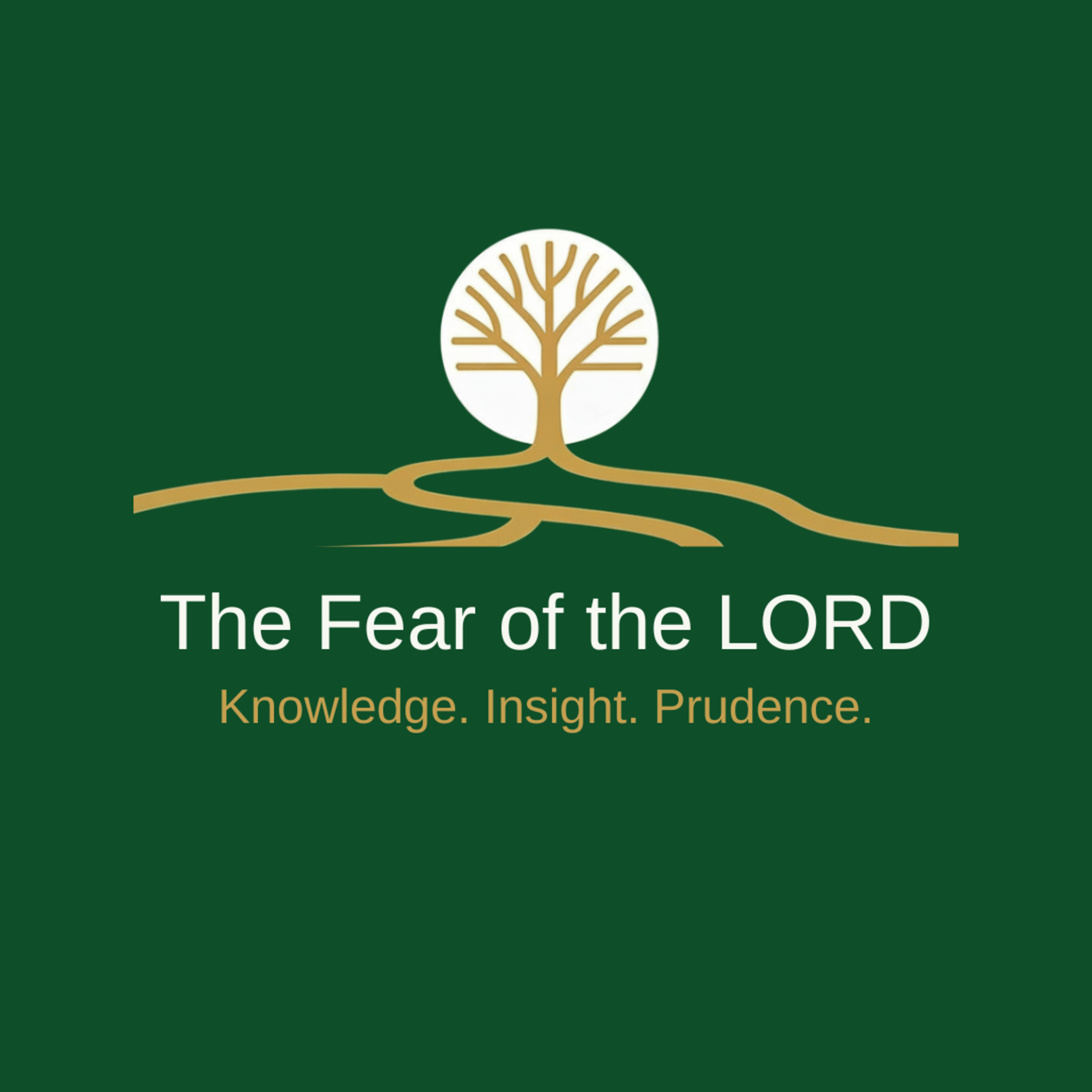 Proverbs - Sermon Series Introduction episode artwork