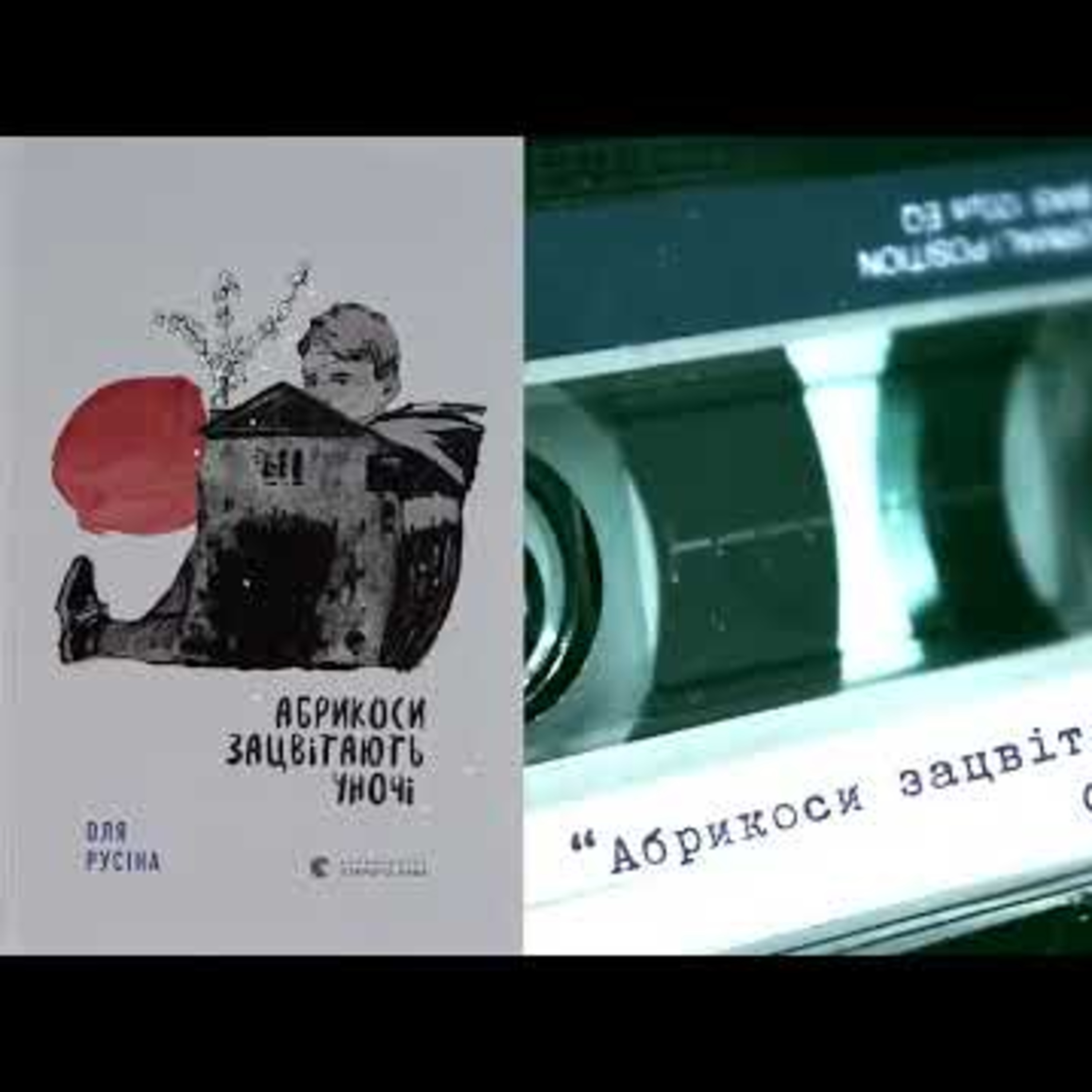 #аудіонотатки : Оля Русіна «Абрикоси зацвітають уночі» episode artwork