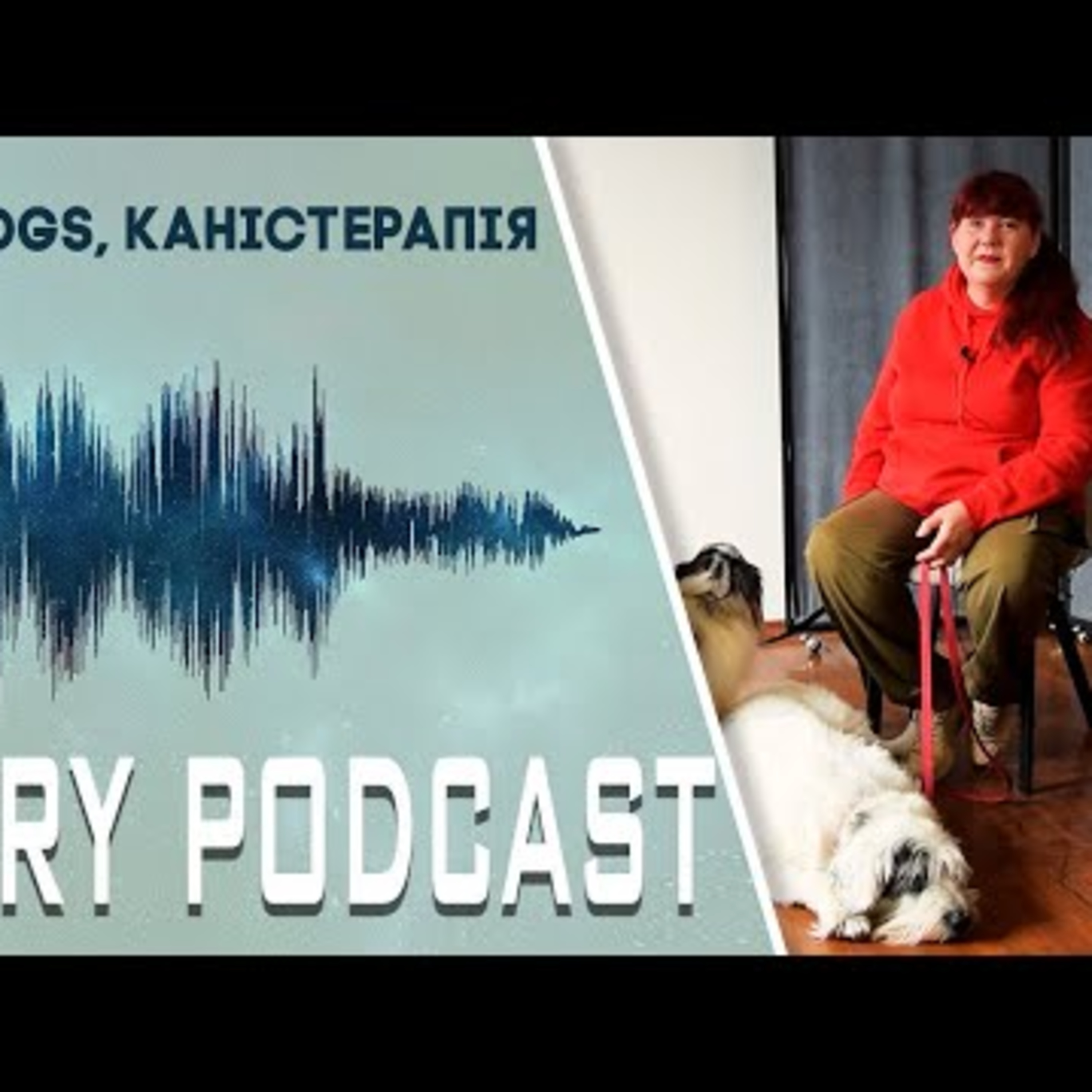  Думки про… "BOOKS & DOGS, каністерапія" в бібліотеці Олеся Гончара episode artwork