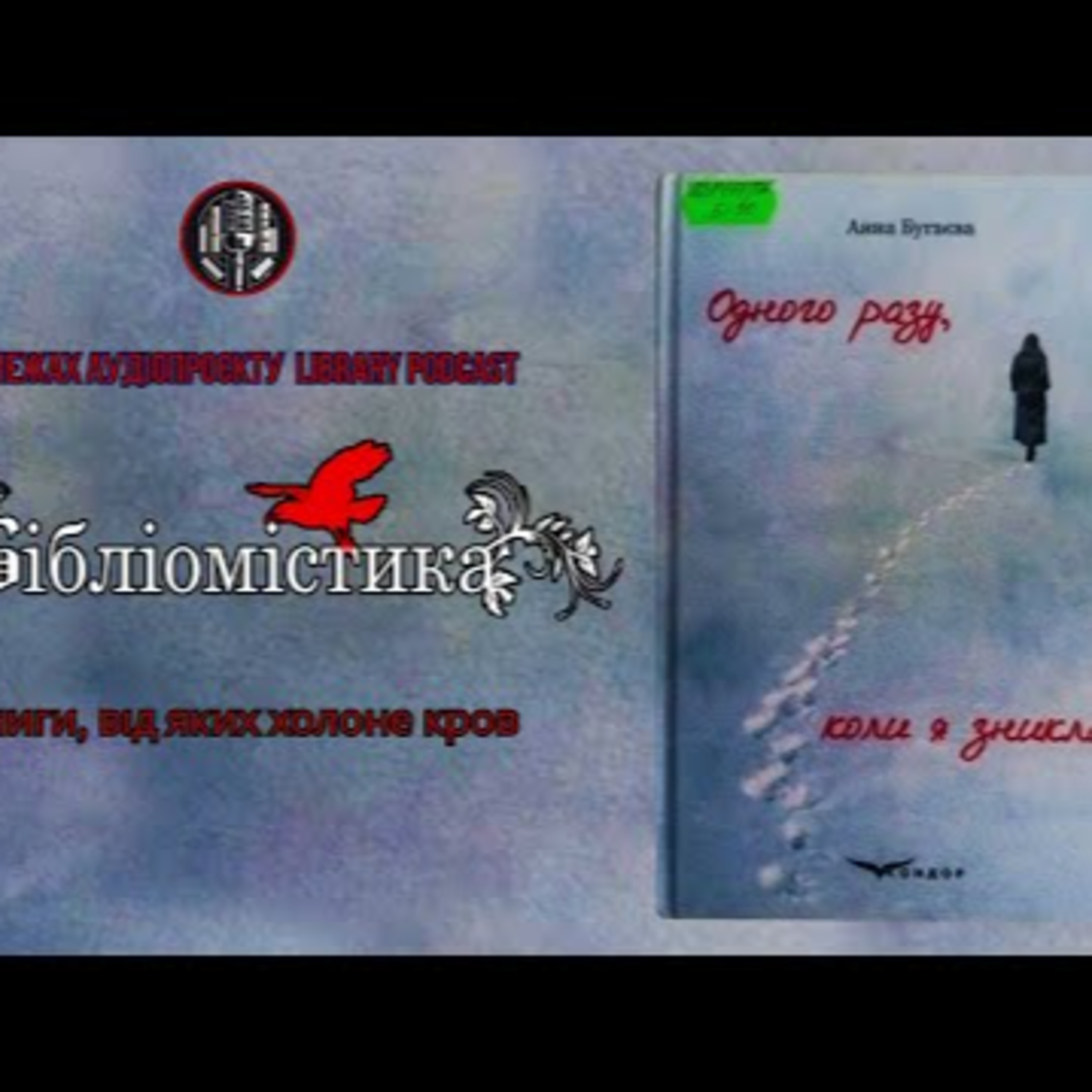  "Одного разу, коли я зникла" Анна Бугаєва | #Бібліомістика episode artwork