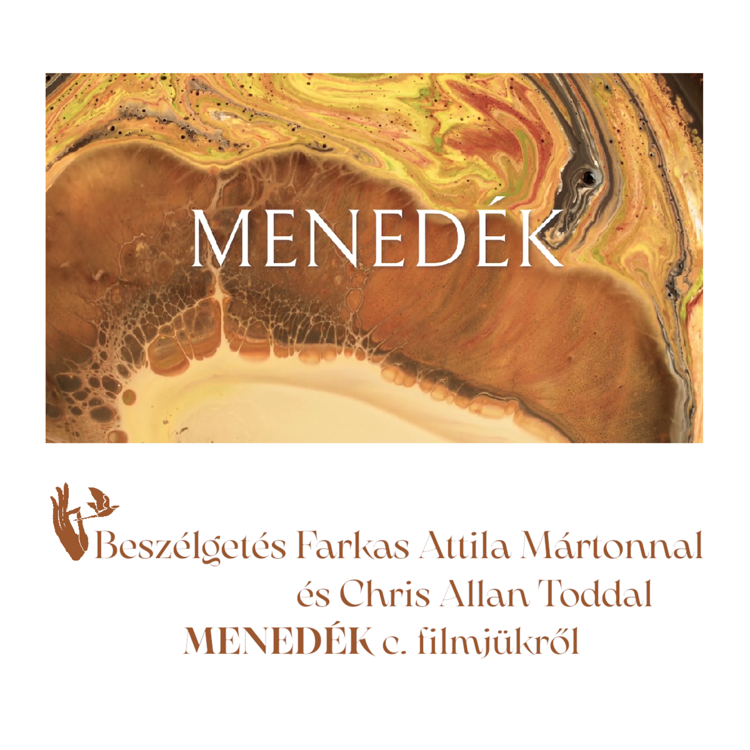 A legjobbakkal kössetek barátságot