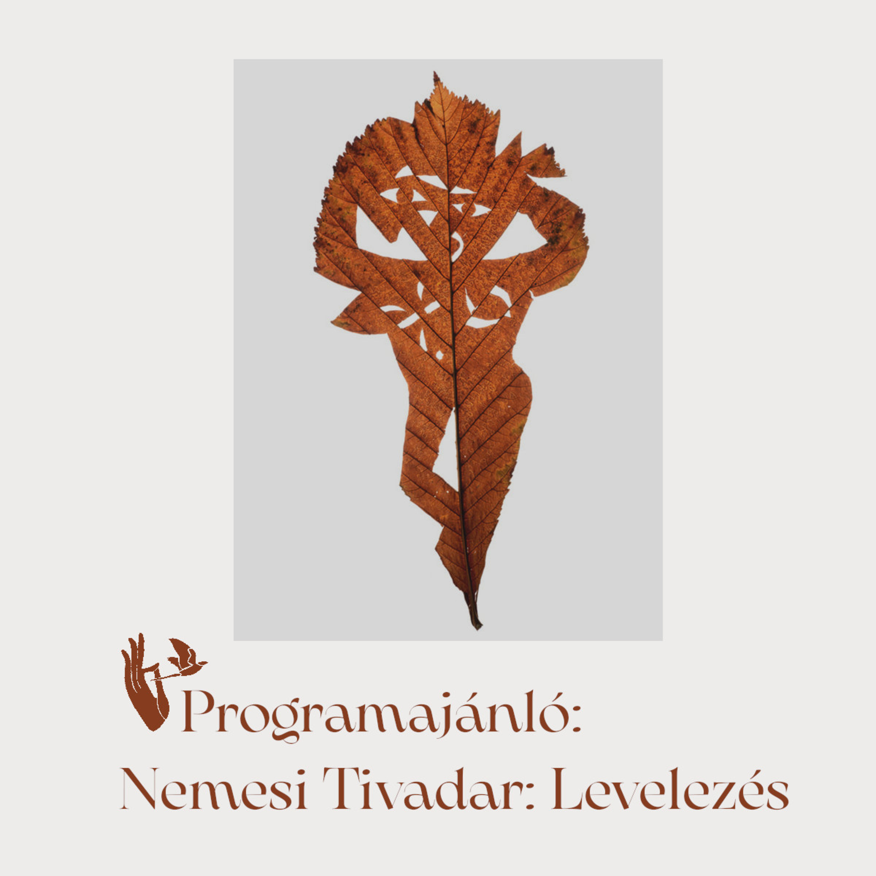 A legjobbakkal kössetek barátságot