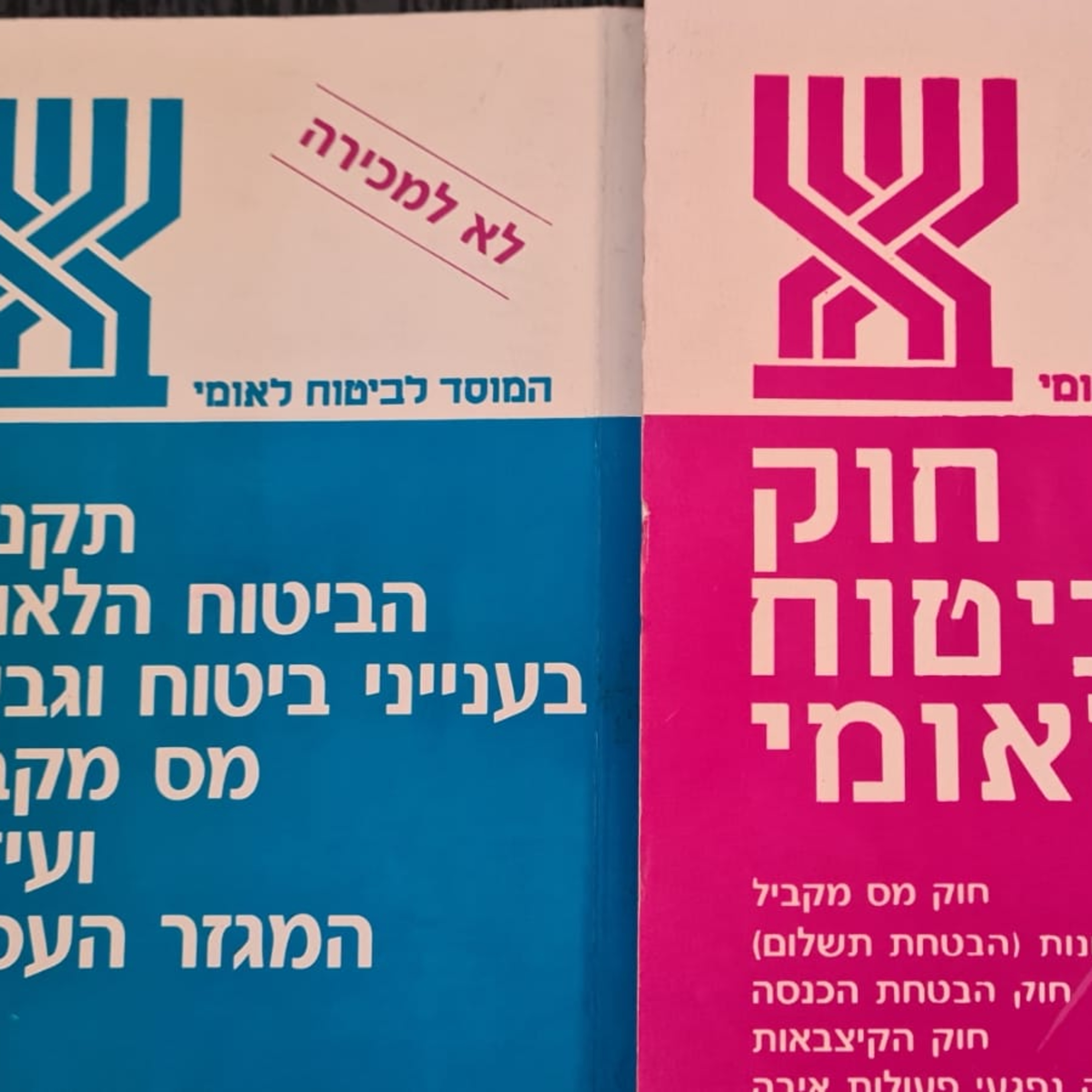 פרק 24 - סוף סוף תבינו איך לעבוד מול ביטוח לאומי, ראיון המשך עם רו"ח אורנה צח episode artwork