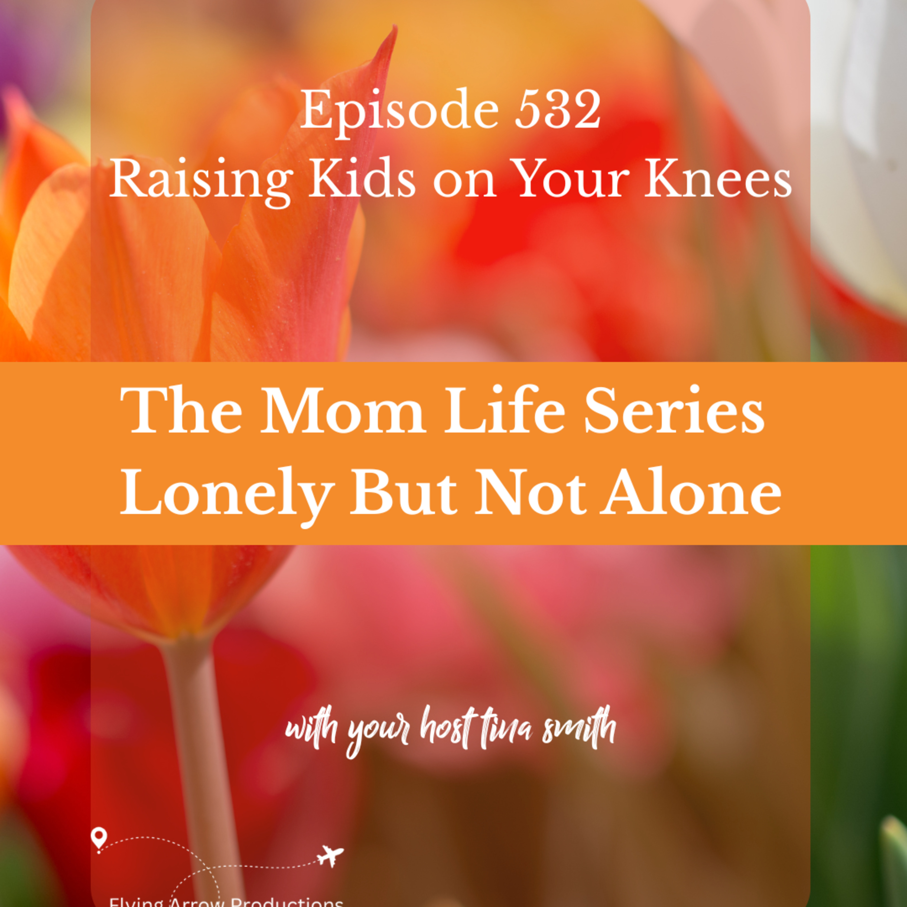 The Mom Life Series - Lonely But Not Alone