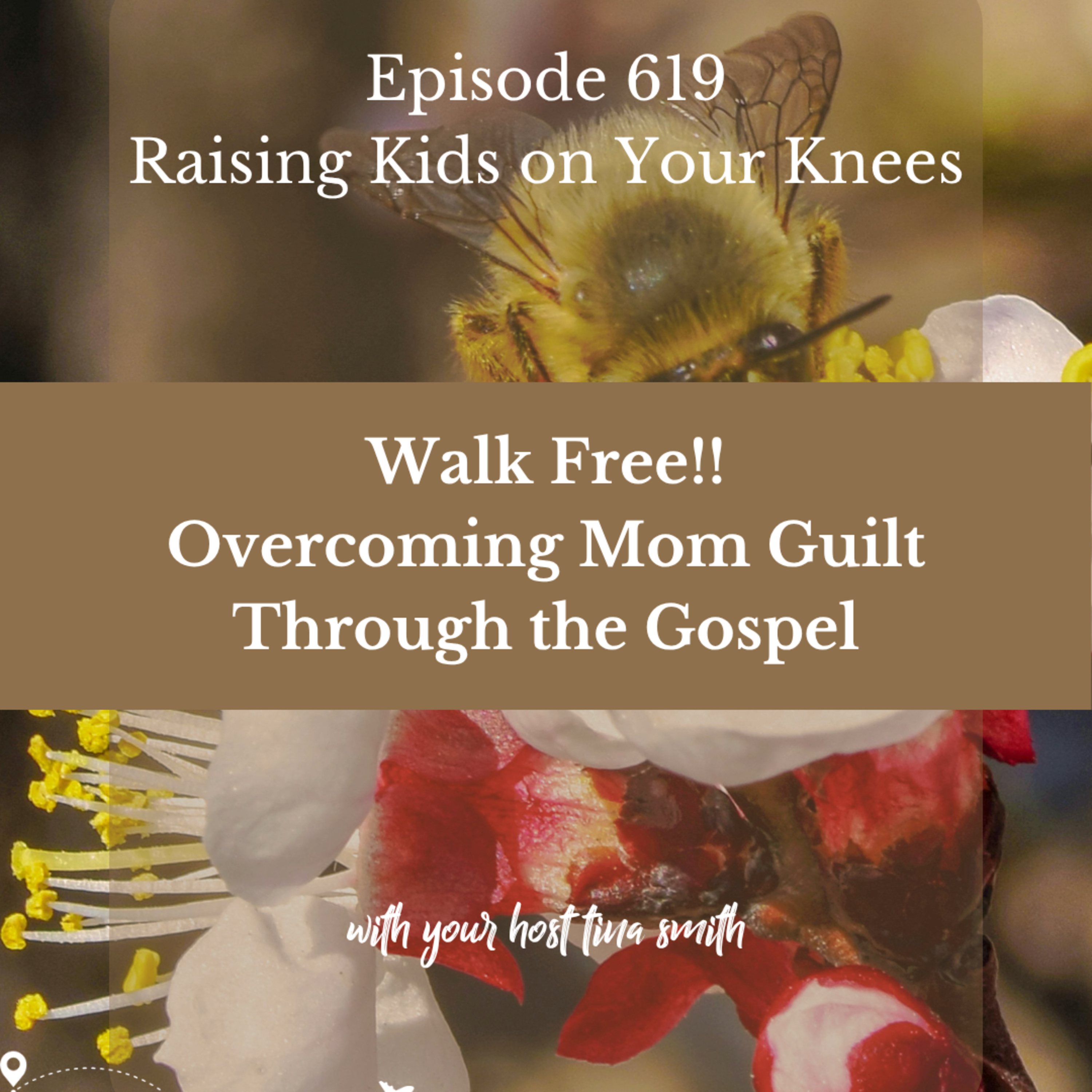 Walk Free! Overcoming Mom Guilt Through the Gospel