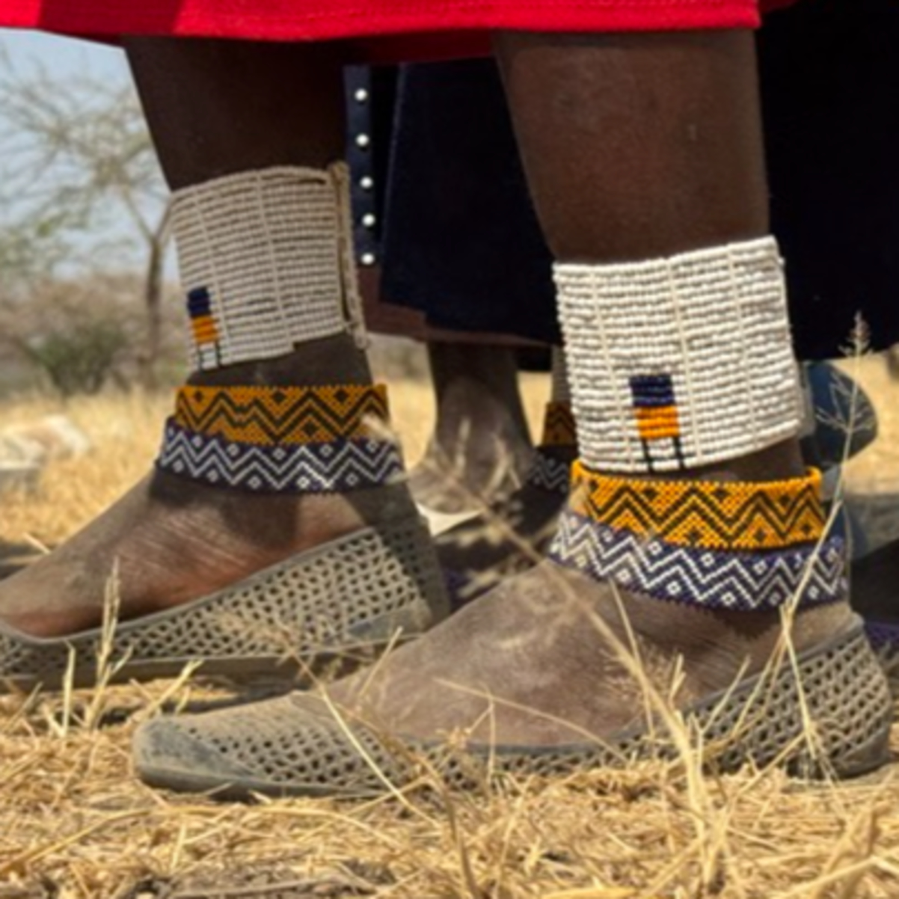 The Long Road to COP30: Why African Indigenous Voices Risk Being Left Out