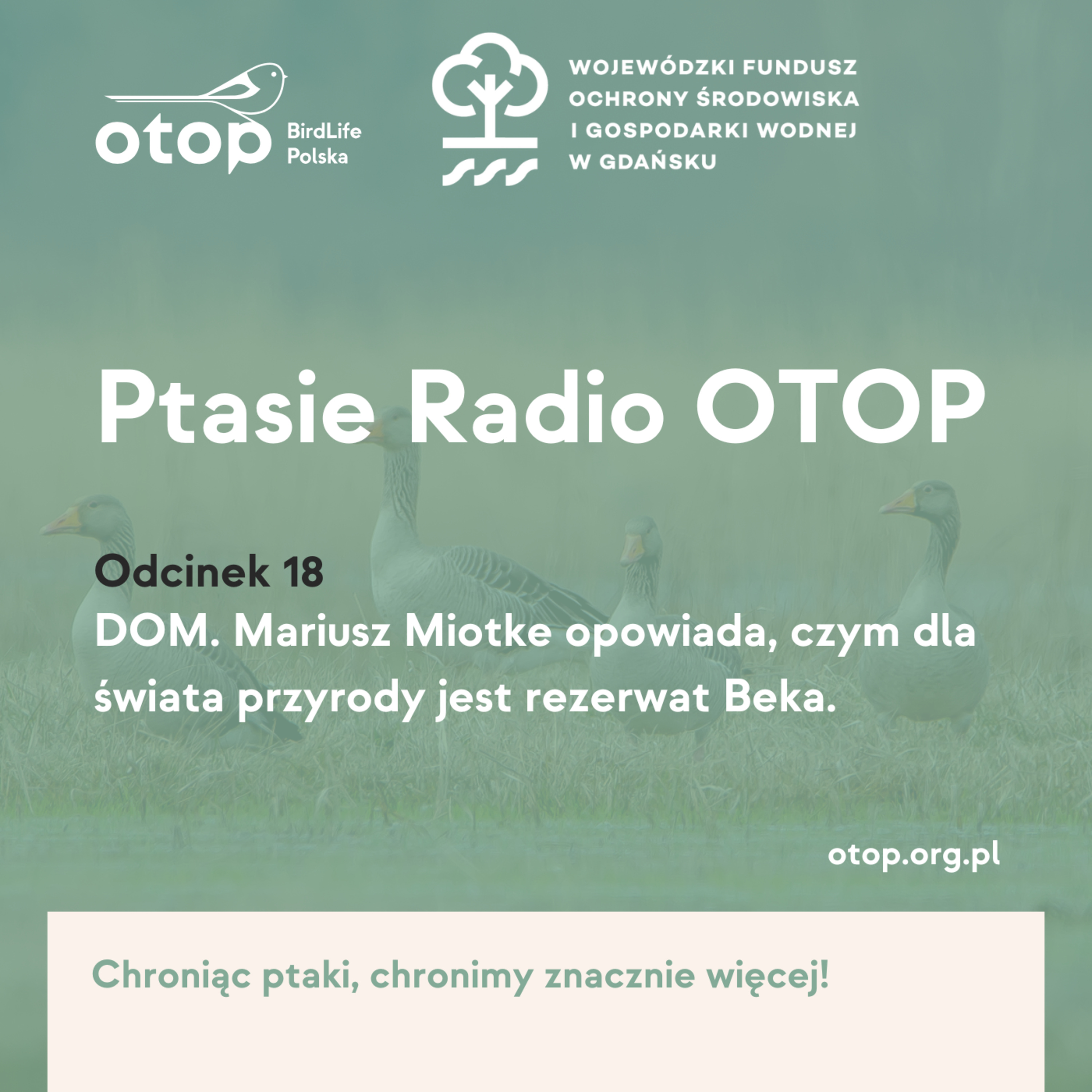 Odc. 18 | Dom. Mariusz Miotke opowiada, czym dla świata przyrody jest rezerwat Beka episode artwork