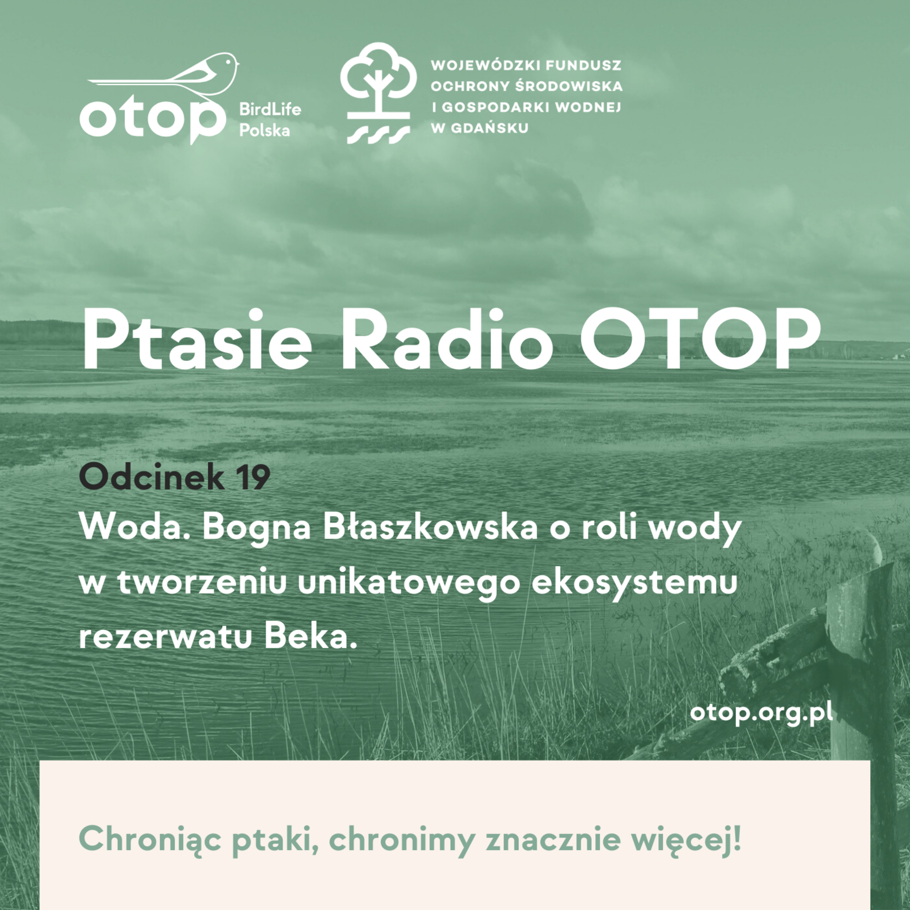 Odc. 19 | Woda. Bogna Błaszkowska o roli wody w tworzeniu unikatowego ekosystemu rezerwatu Beka episode artwork