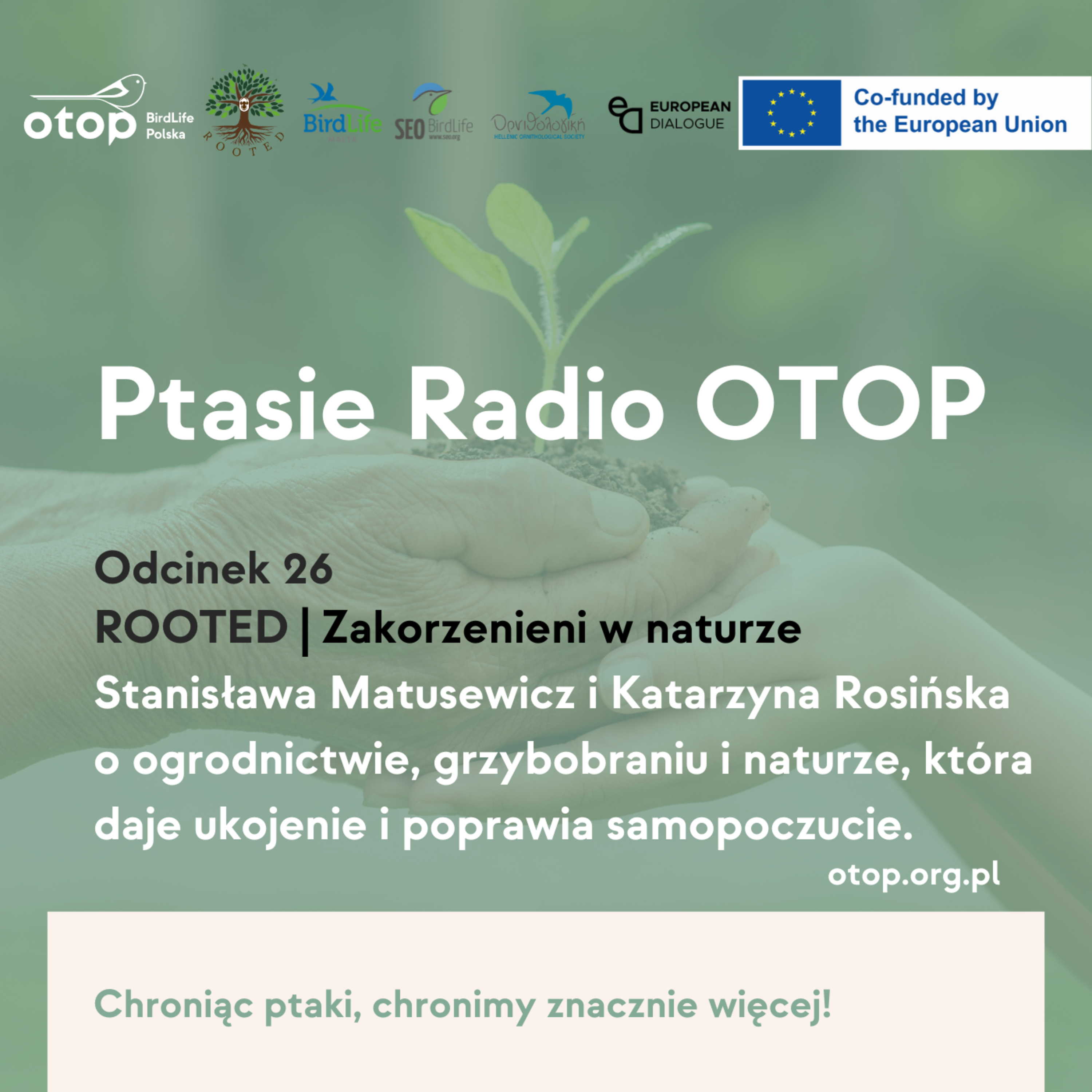 Odc. 26 | Stanisława Matusewicz i Katarzyna Rosińska o ogrodnictwie, grzybobraniu i naturze, która daje ukojenie i poprawia samopoczucie episode artwork