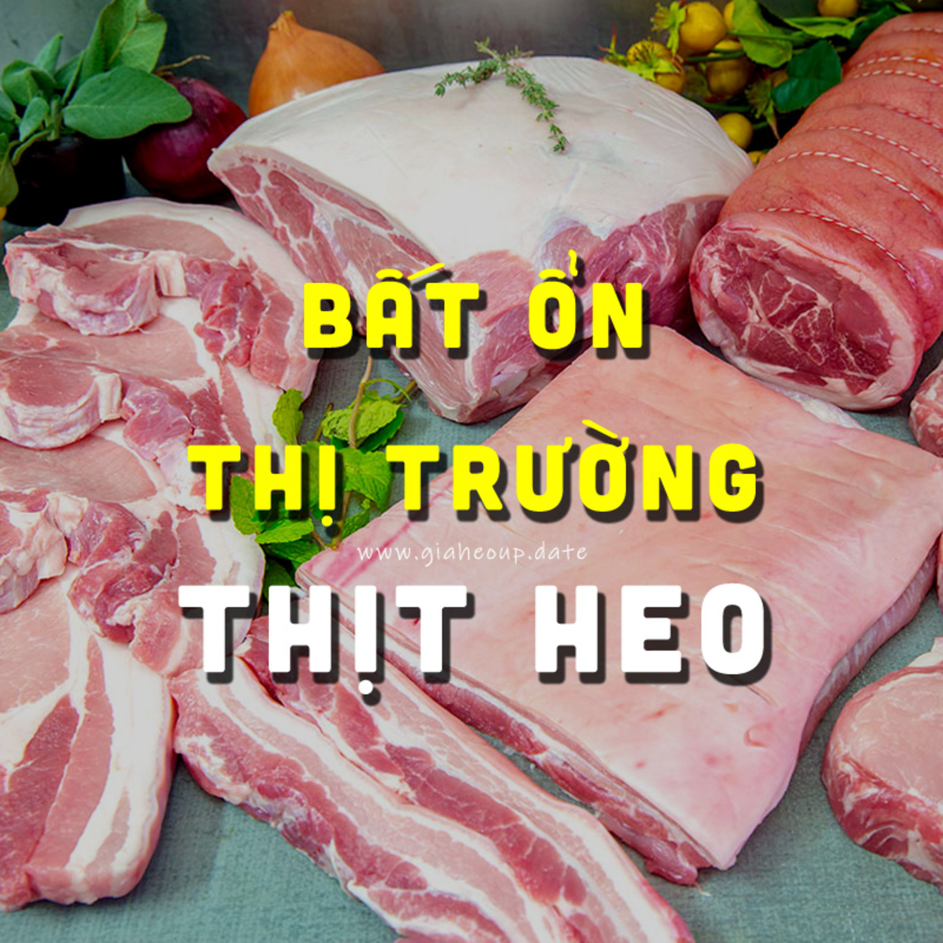 GIÁ HEO HƠI