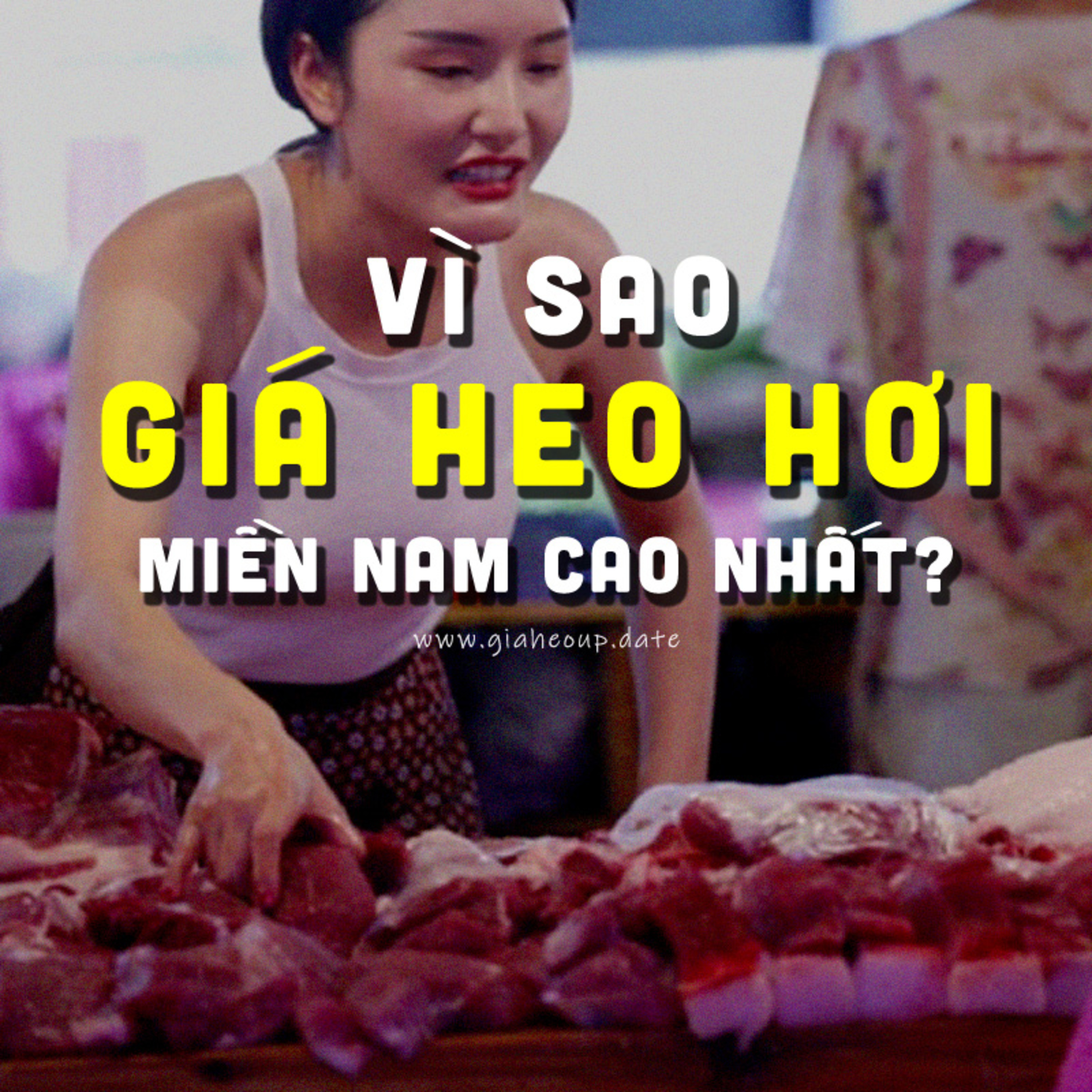 ▶ VÌ SAO GIÁ HEO HƠI MIỀN NAM ĐANG CAO NHẤT CẢ NƯỚC? #PODCAST #GIAHEOHOI #GIAHEOHOIMIENNAM #GIAHEO episode artwork