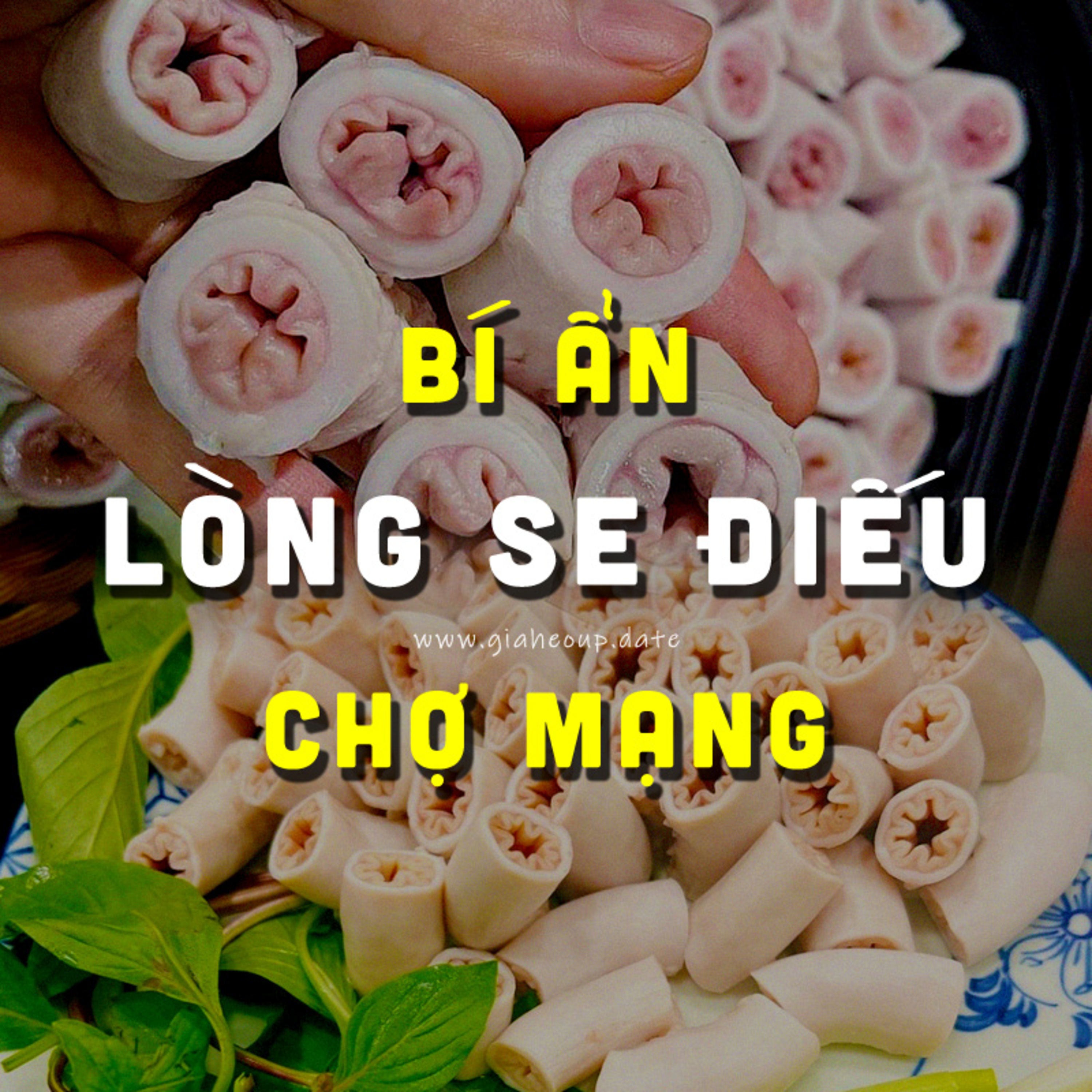 ▶ BÍ ẨN ❝LÒNG SE ĐIẾU❞ NGOÀI CHỢ KHÔNG CÓ, TRÊN MẠNG BÁN ĐẦY? #PODCAST #GIAHEOHOI #LONGSEDIEU episode artwork