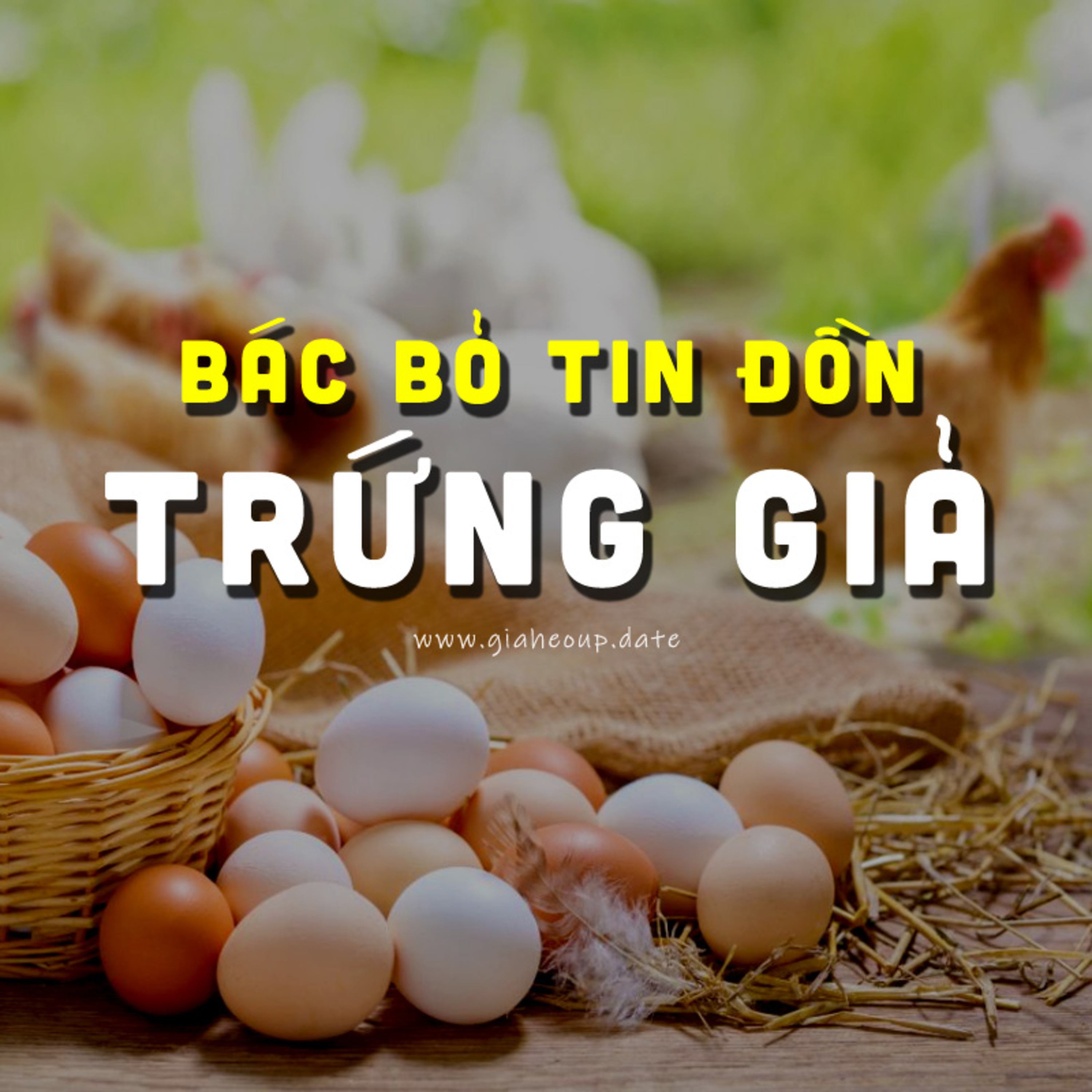▶ THỦ PHỦ CHĂN NUÔI ĐỒNG NAI THIỆT HẠI KÉP VÌ TIN ĐỒN ❝TRỨNG GIẢ❞ #PODCAST #CHANNUOI #GIAHEOHOI episode artwork